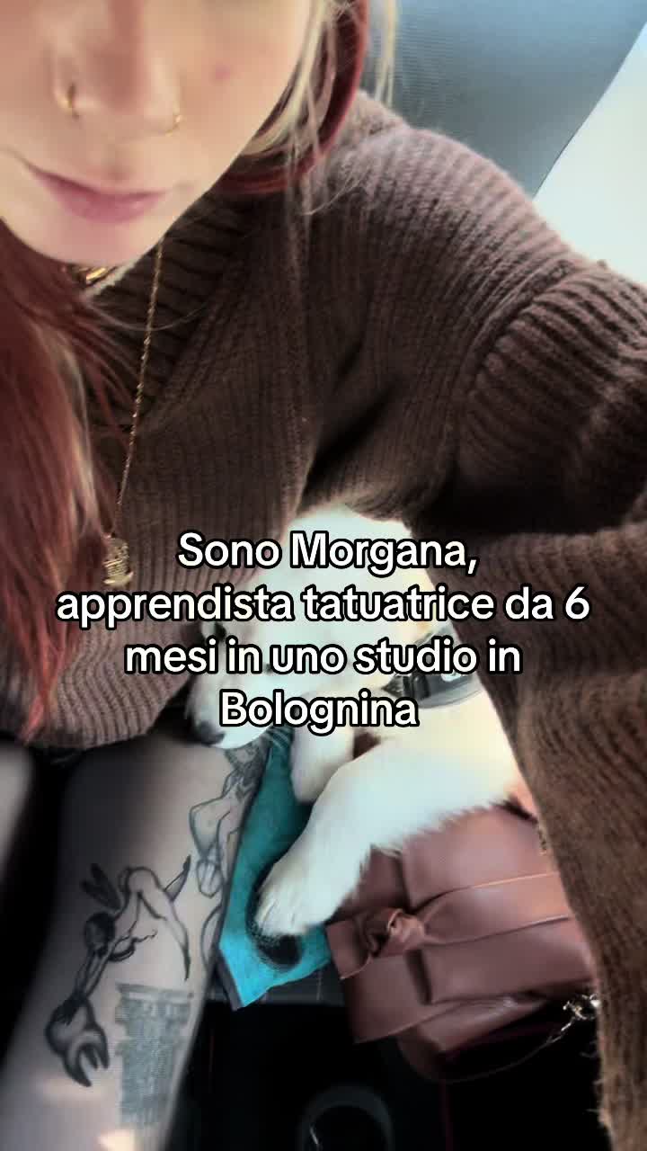 @morgana la fée