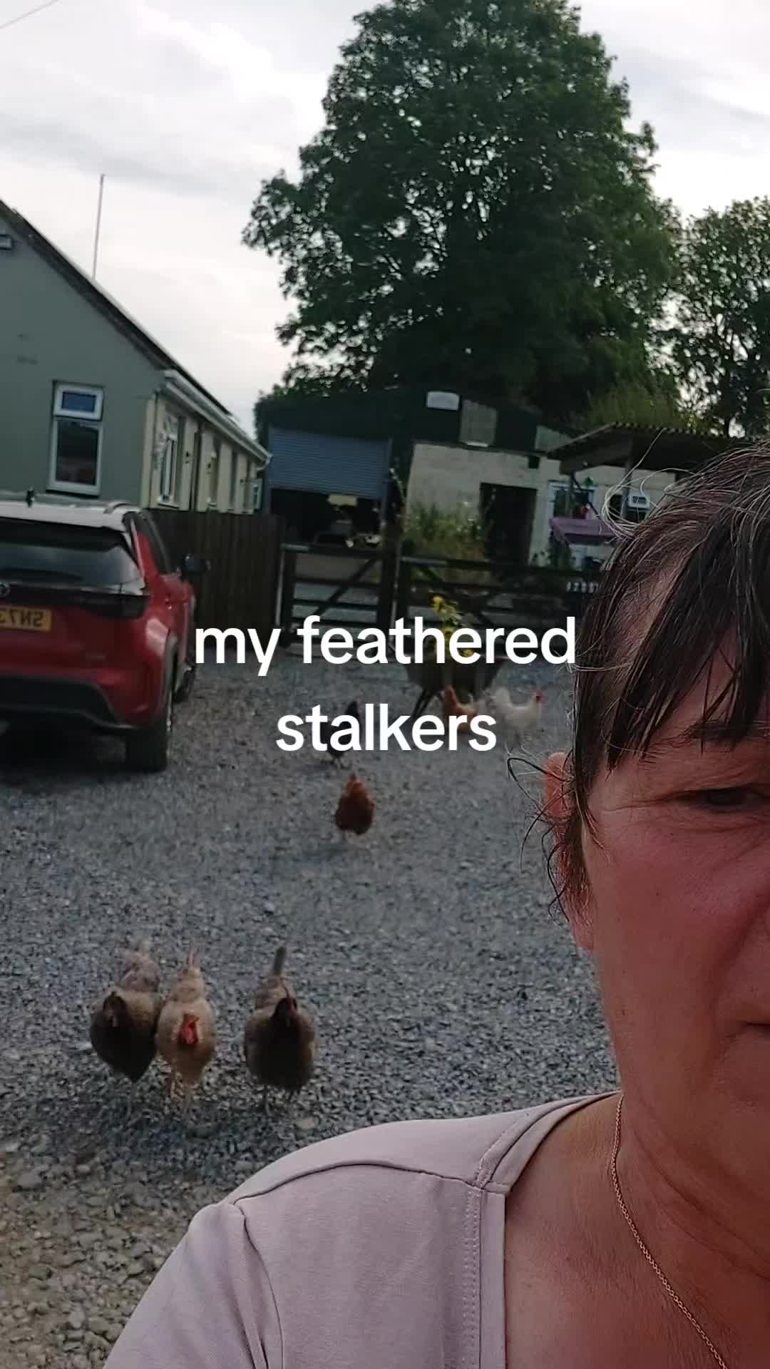 @user6438893025163