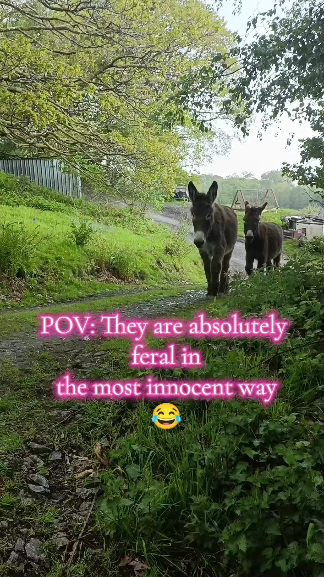 @fieldsforevere42