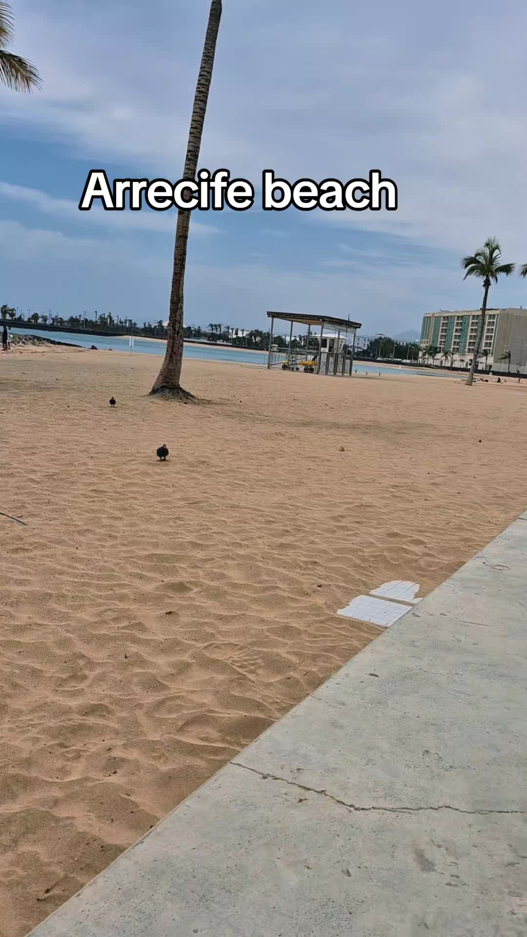 @sarah
