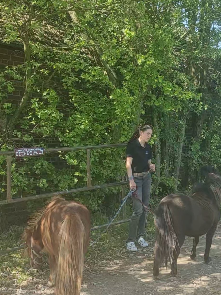 @Lisas kleine Ranch 🐴