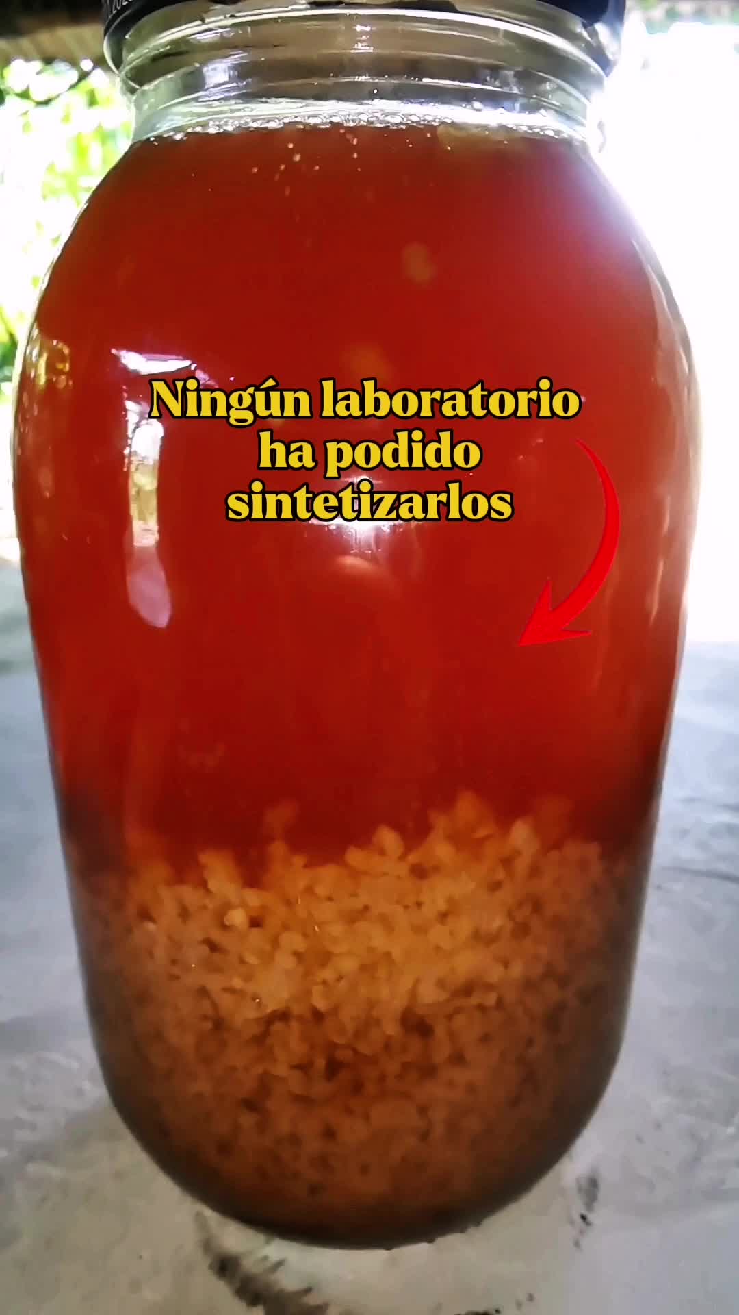 @Monte.sientovivo