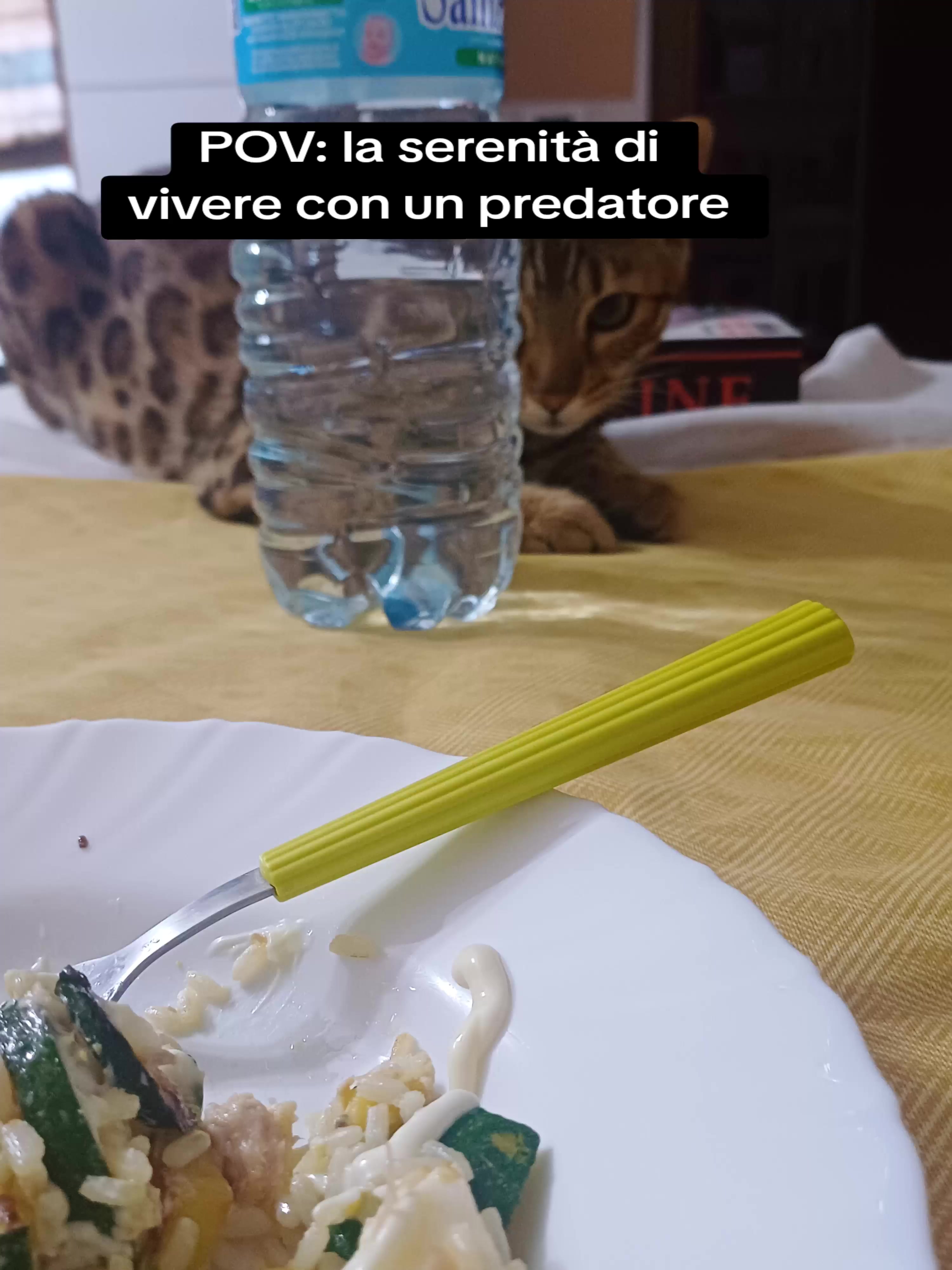 @Rio.supercat