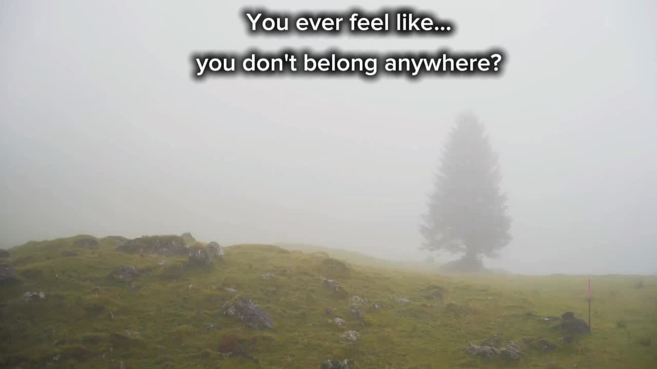 @louise