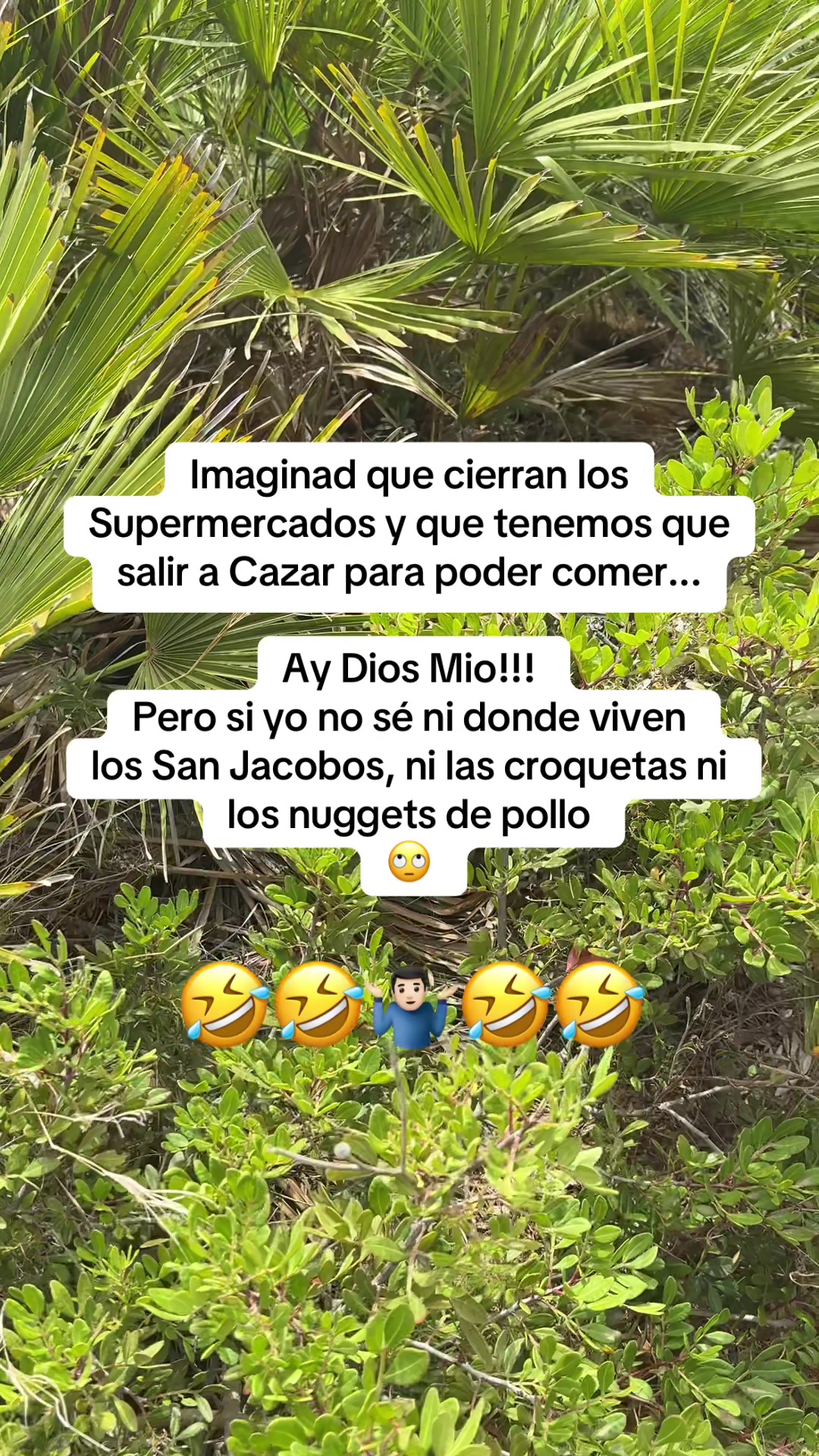 @💫Juan☄️