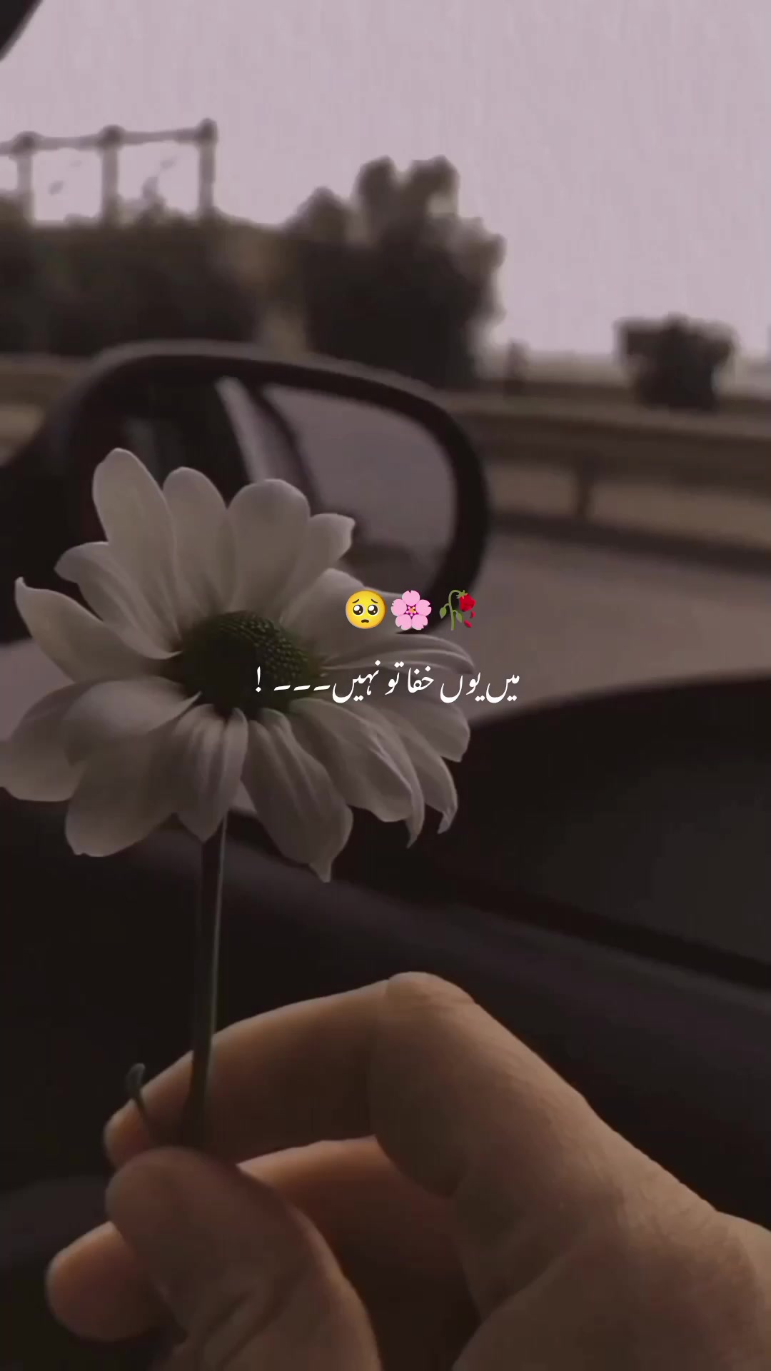 @𝙐𝙙𝙖𝙨𝙨 𝙭 𝘼𝙚𝙨𝙩𝙞𝙭