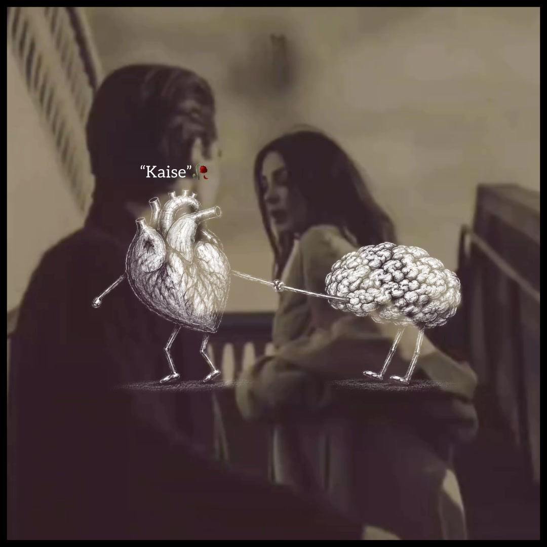 @ʟᴏꜰɪ ᴅʀᴇᴀᴍꜱ
