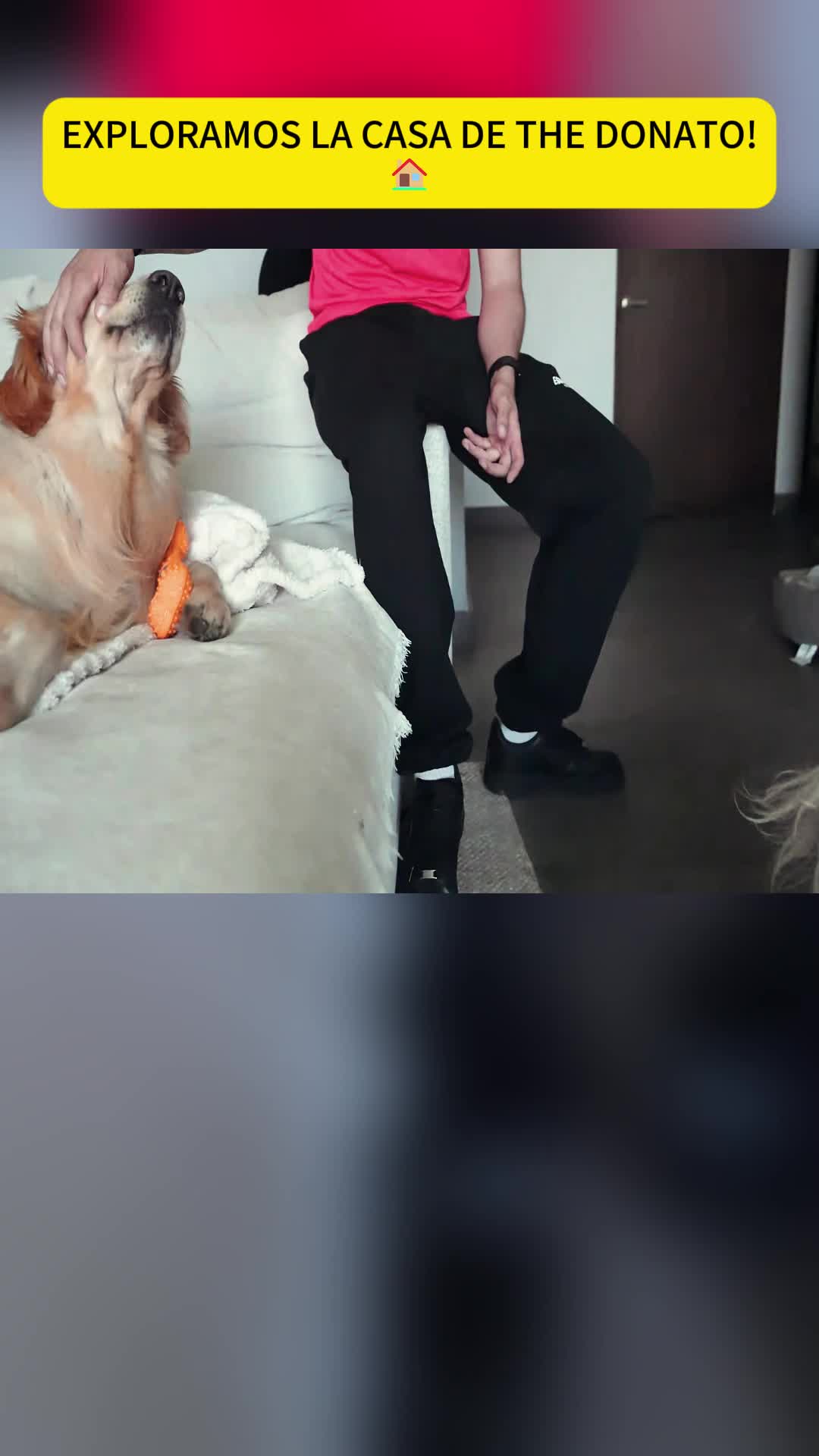 @ElAbrahaham