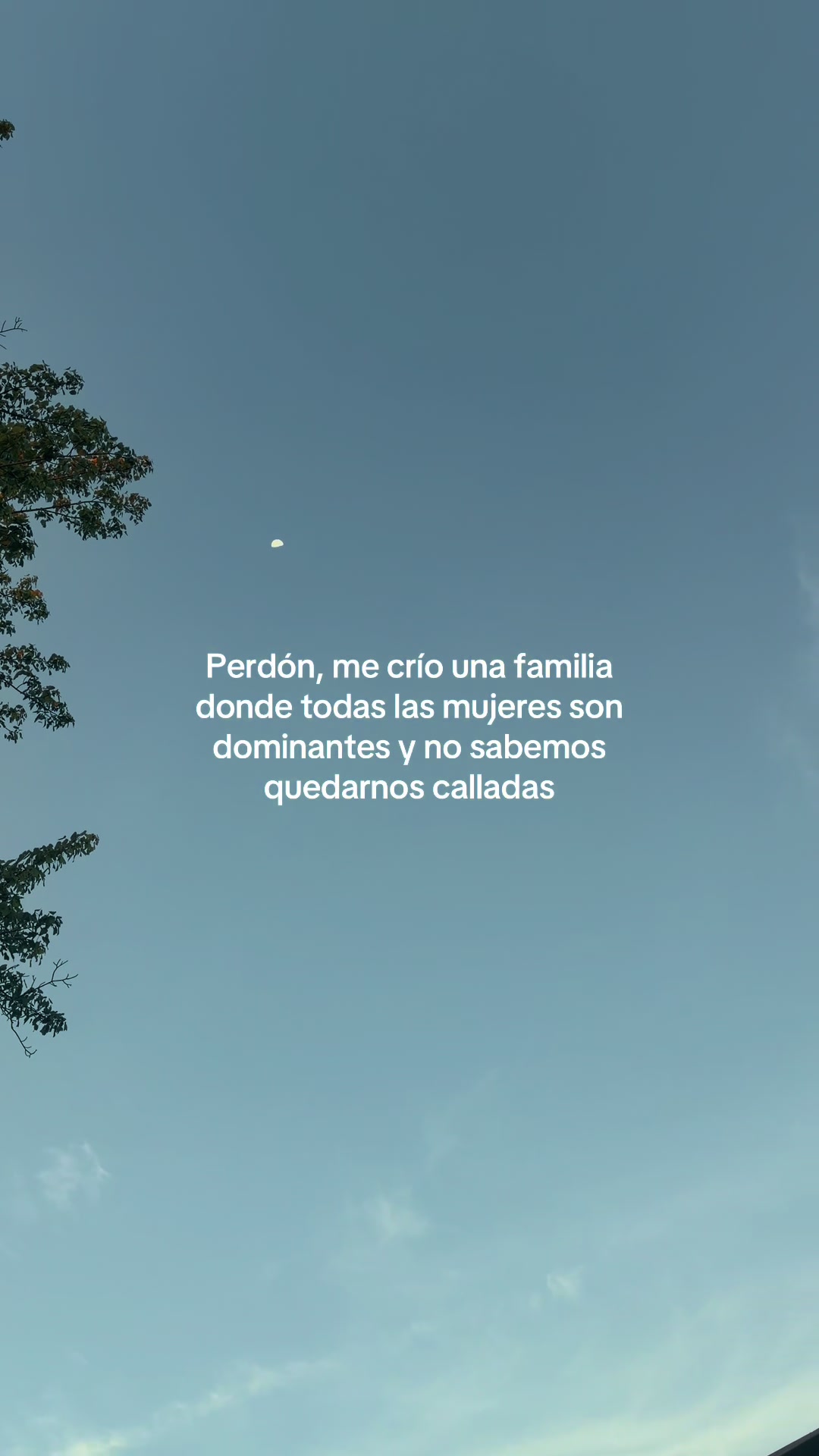 @“Voces del Eco”