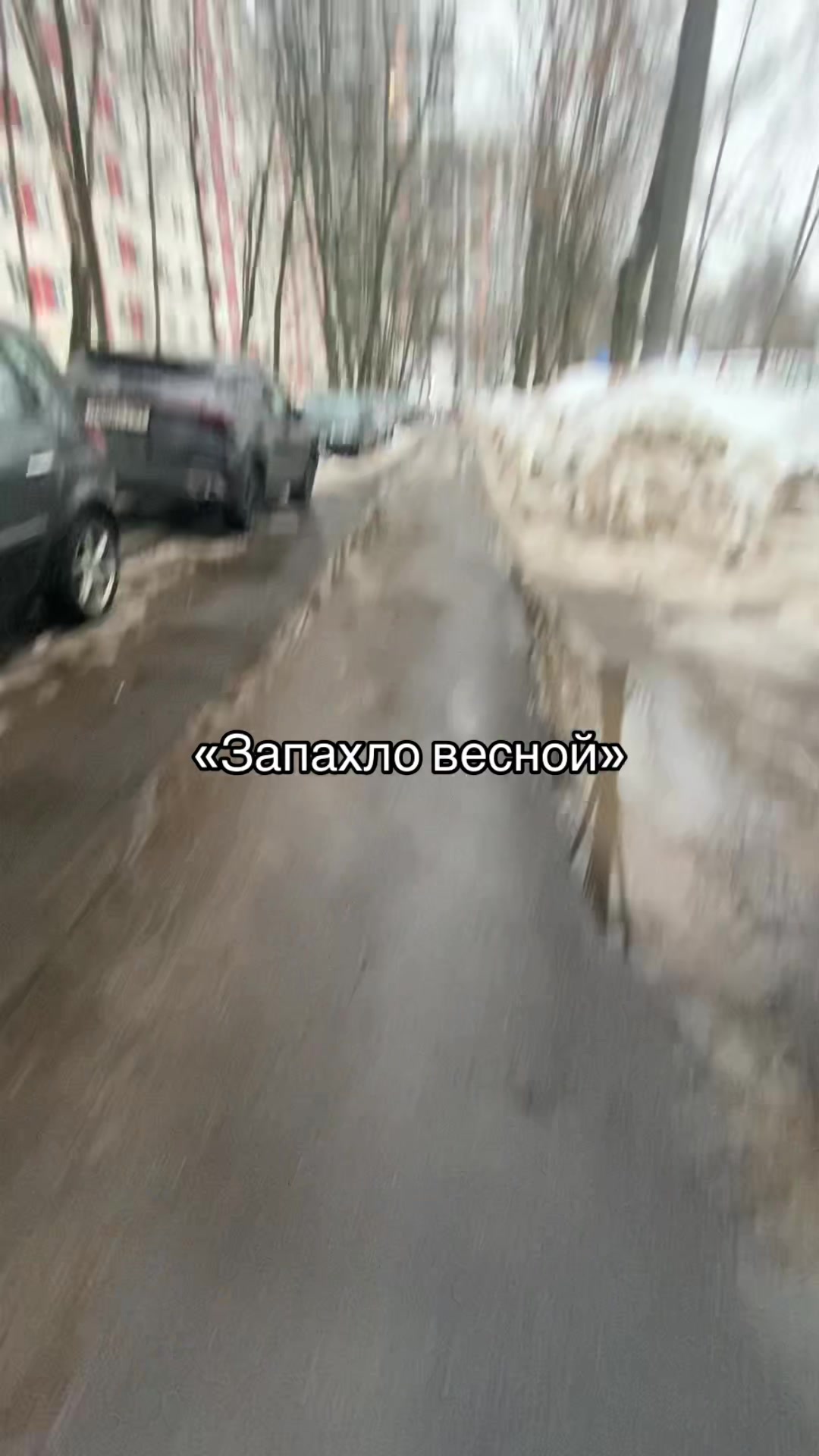 @соняя