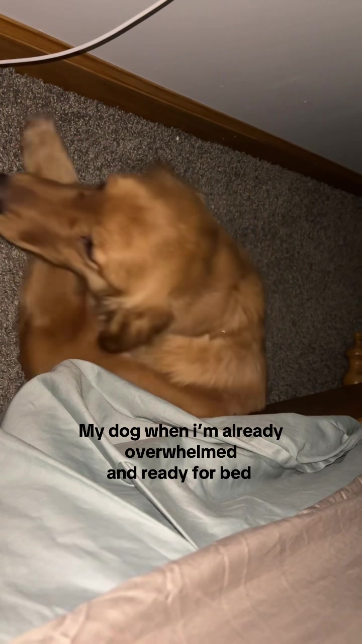 @emmagardner12