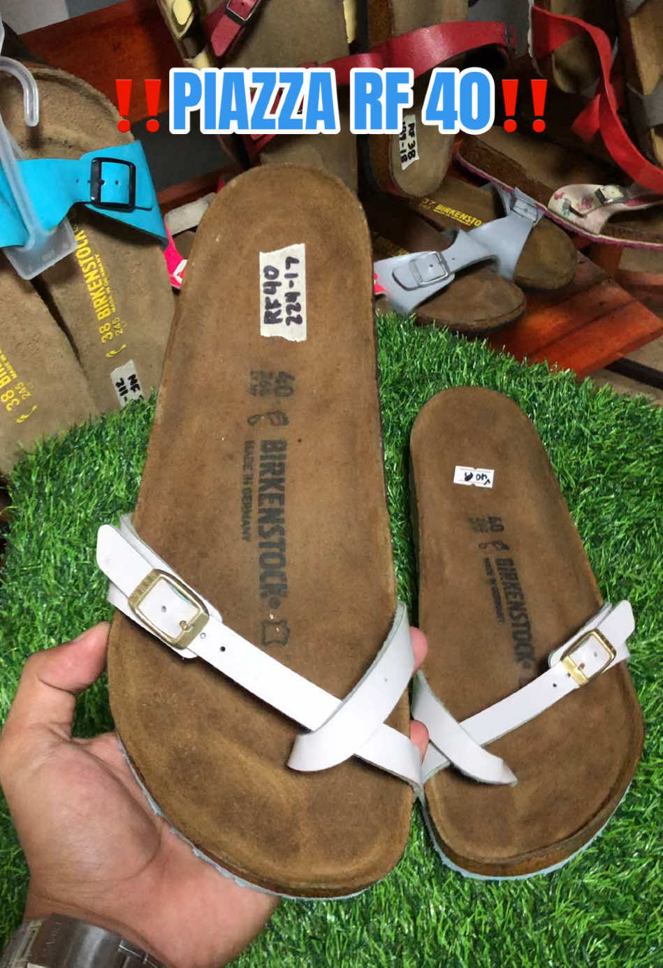 @DAILY BIRKS