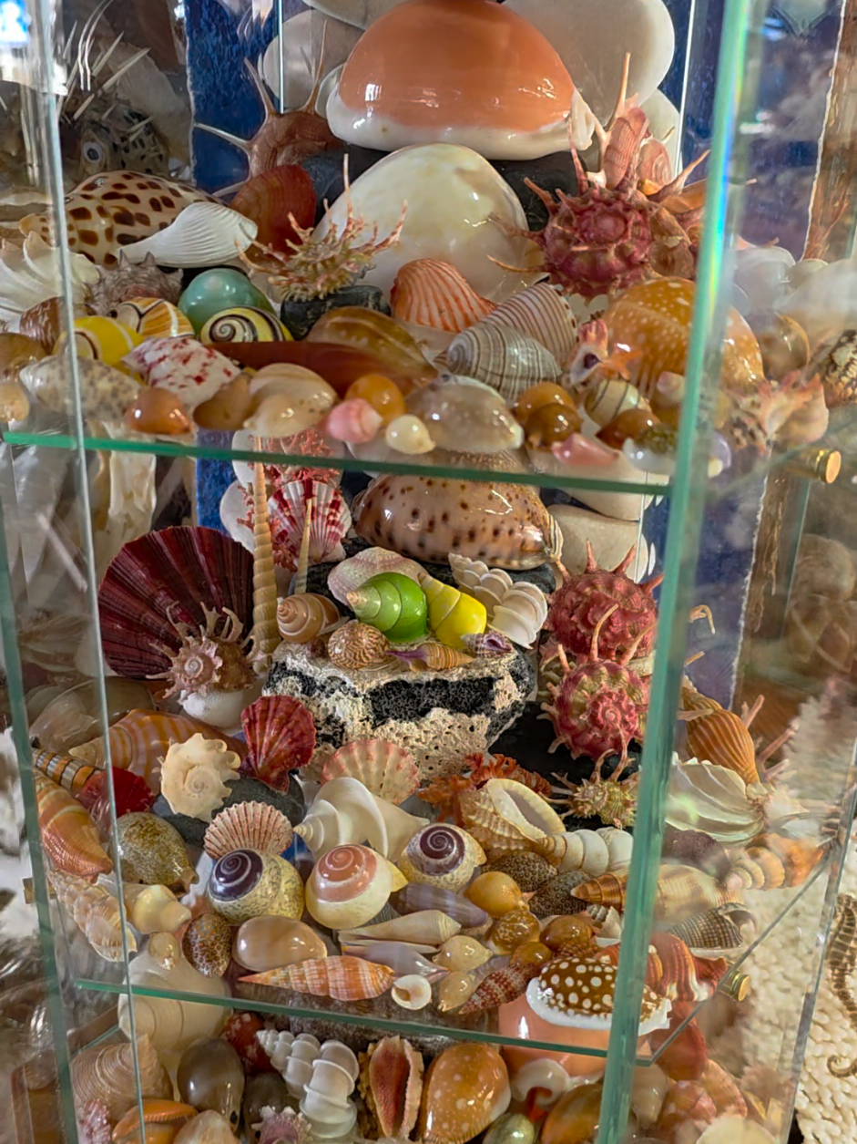 @Paris Shells Shop