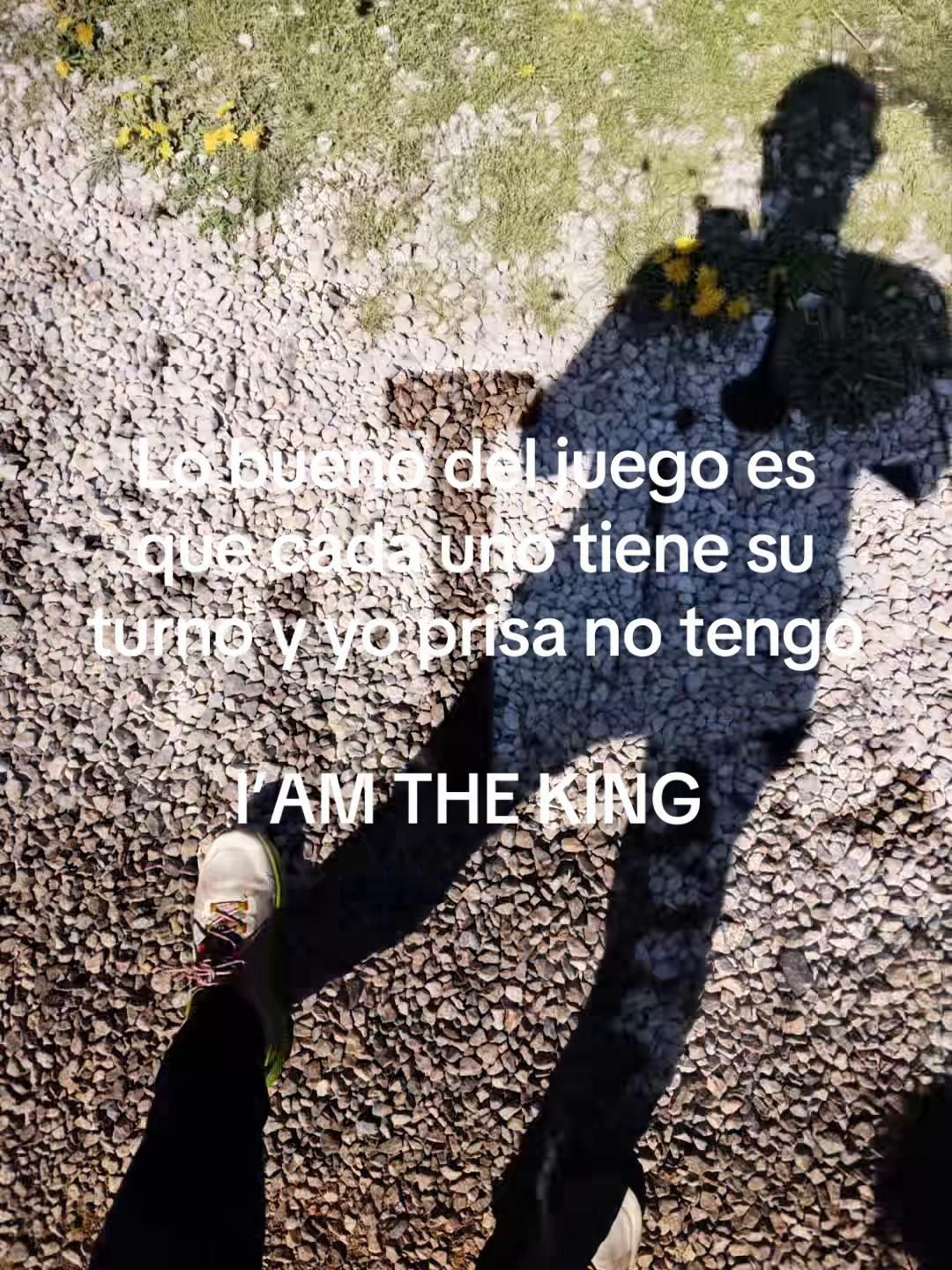 @ramonpc8