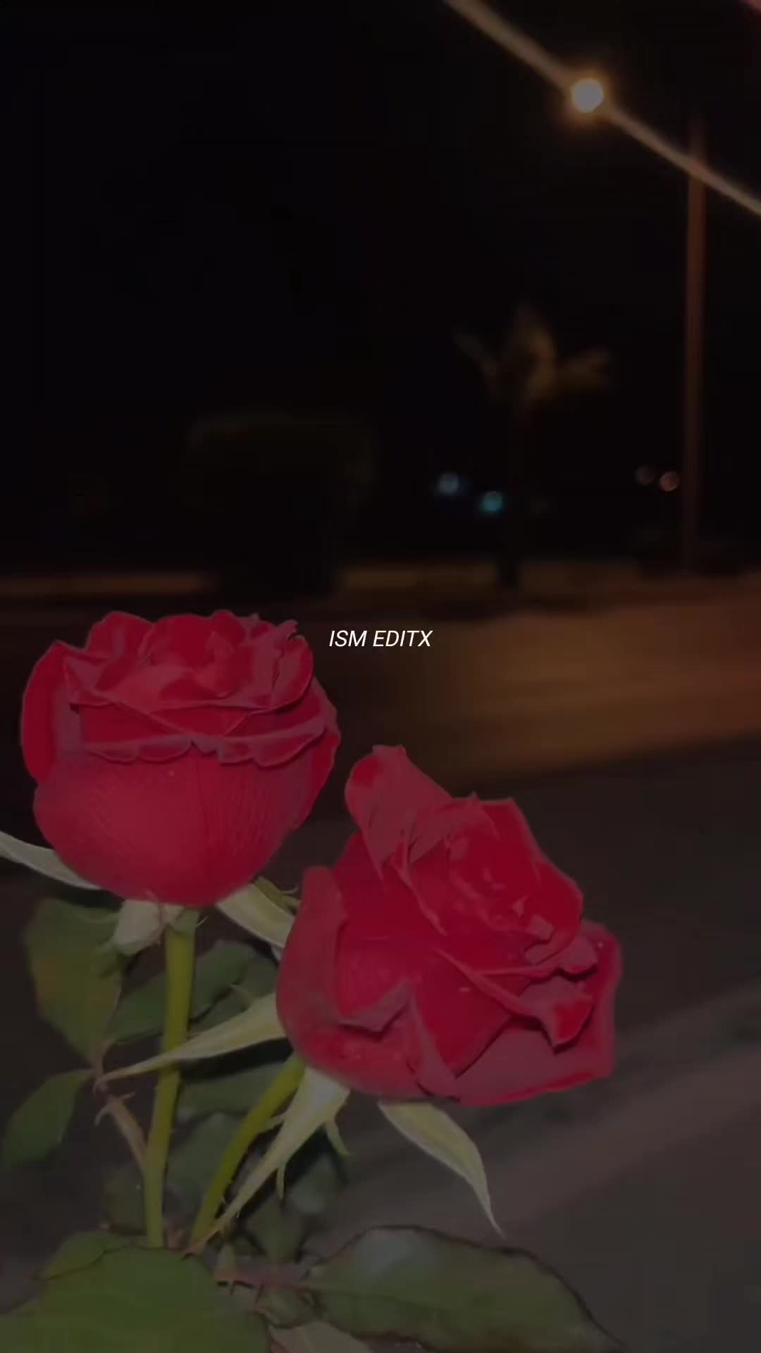 @اقراء❤️🔥