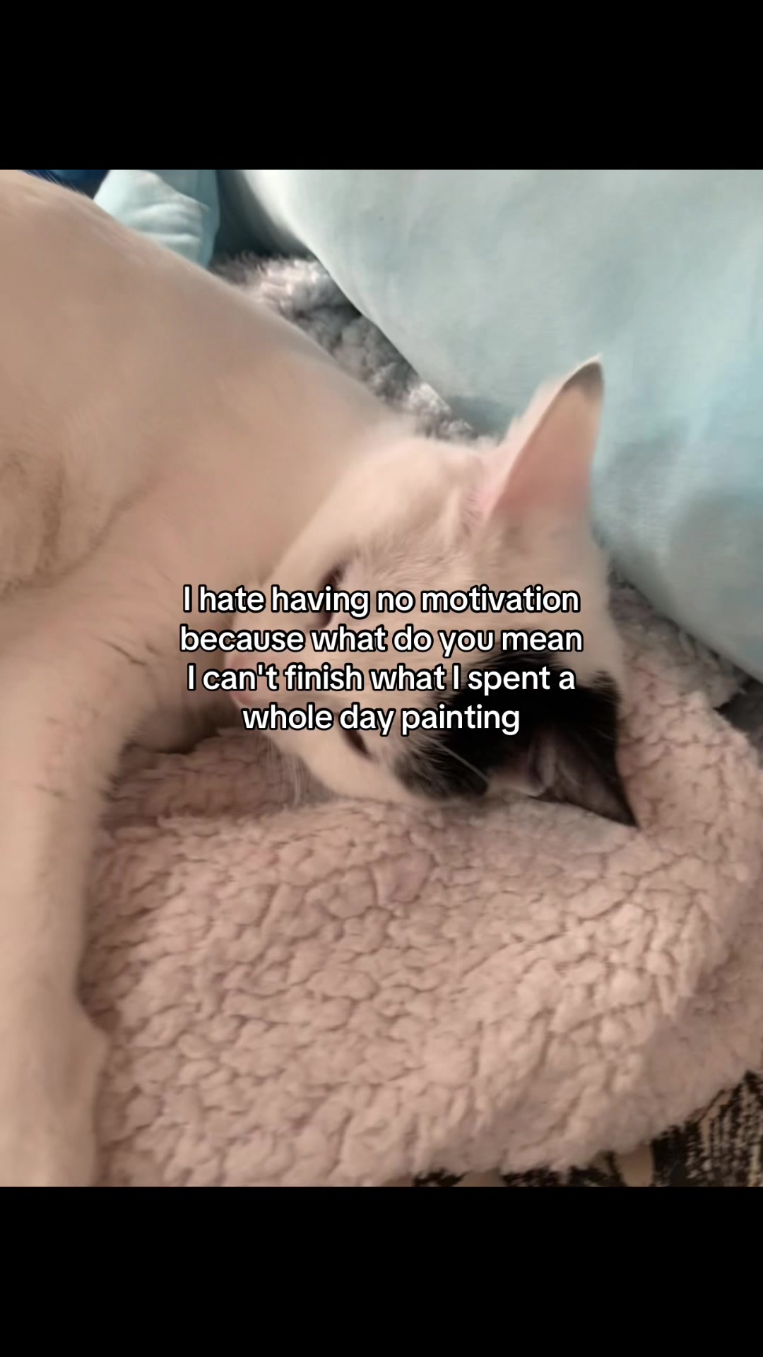 @Owl