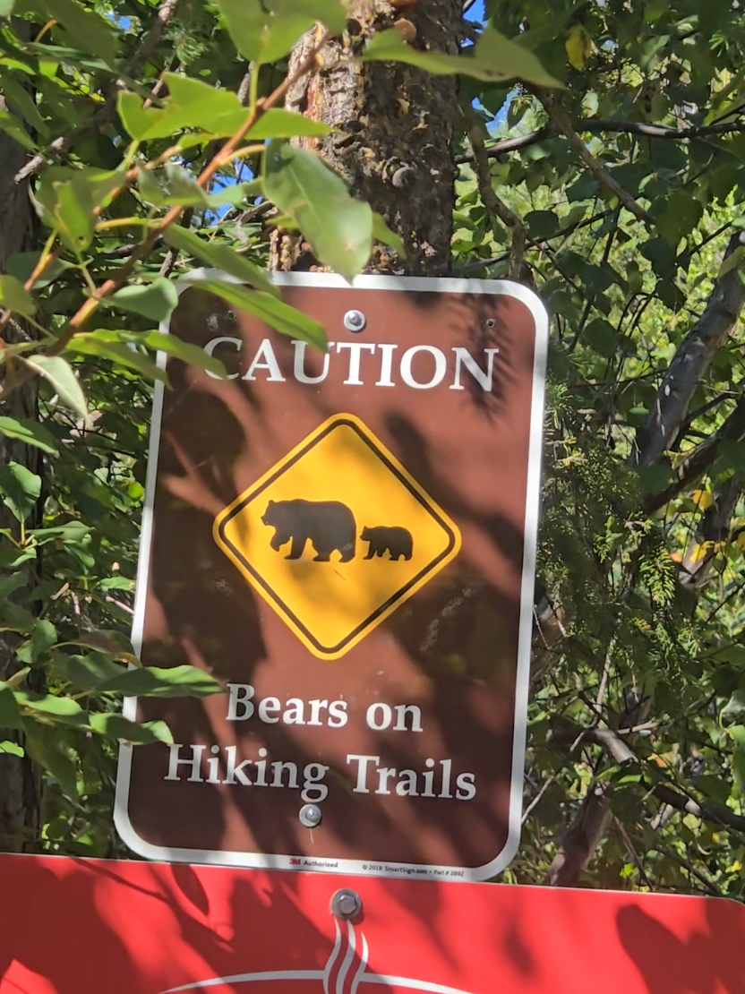 @Banff Trail Running & Wildlife