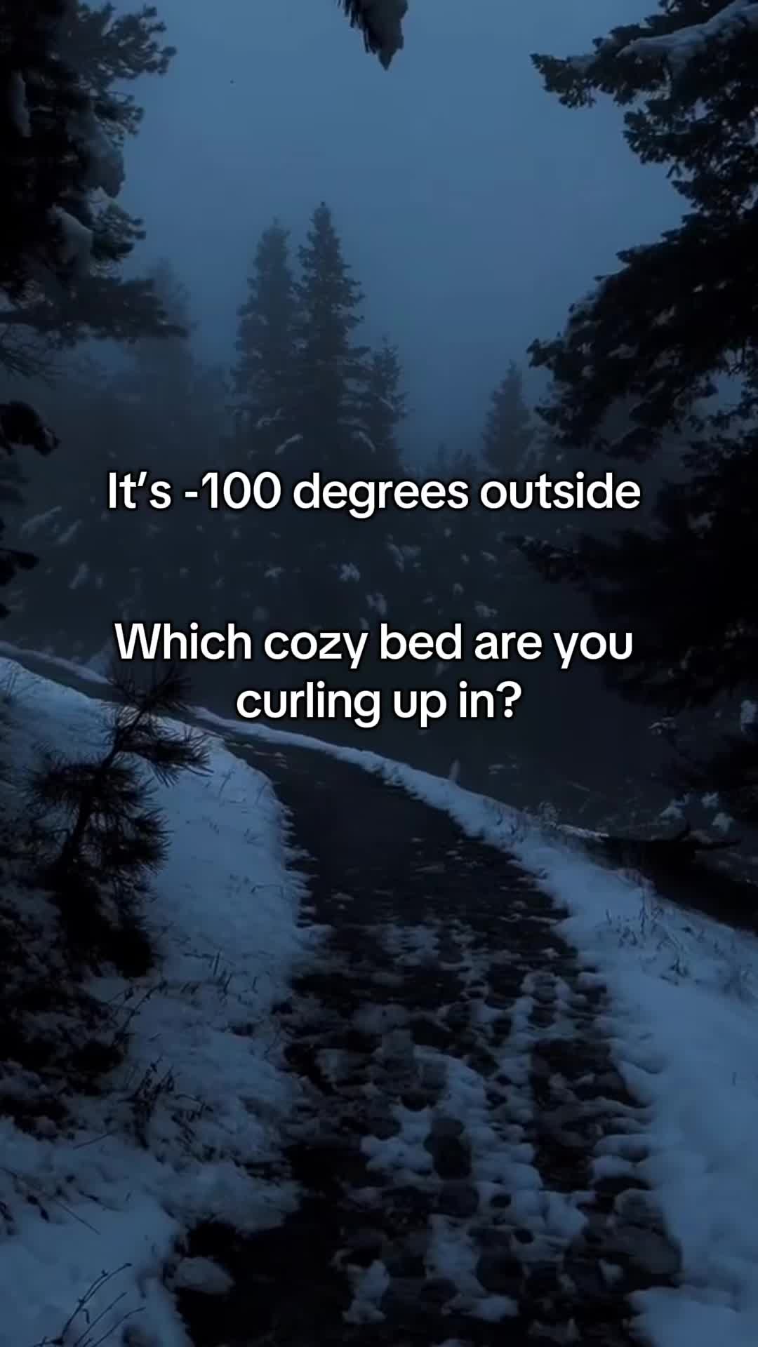 @Cozycorner