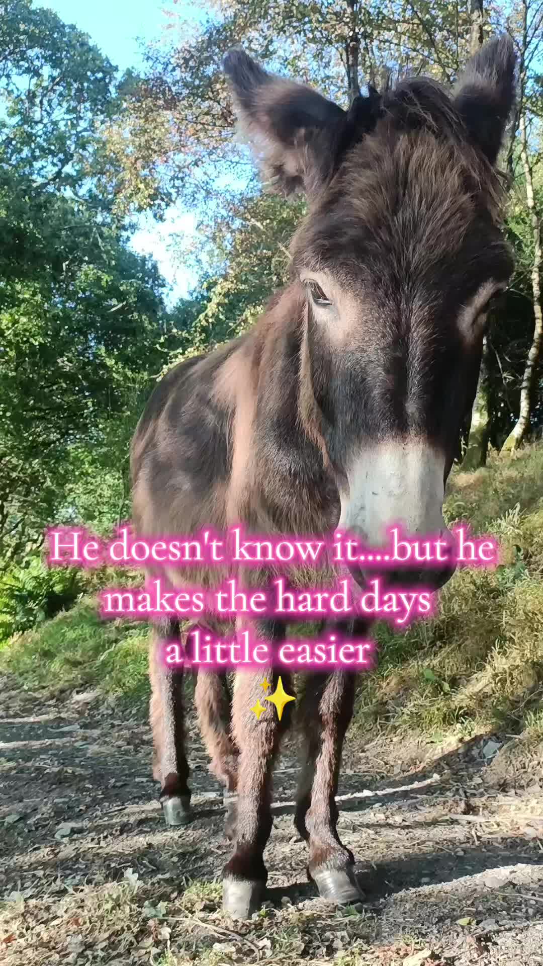 @fieldsforevere42