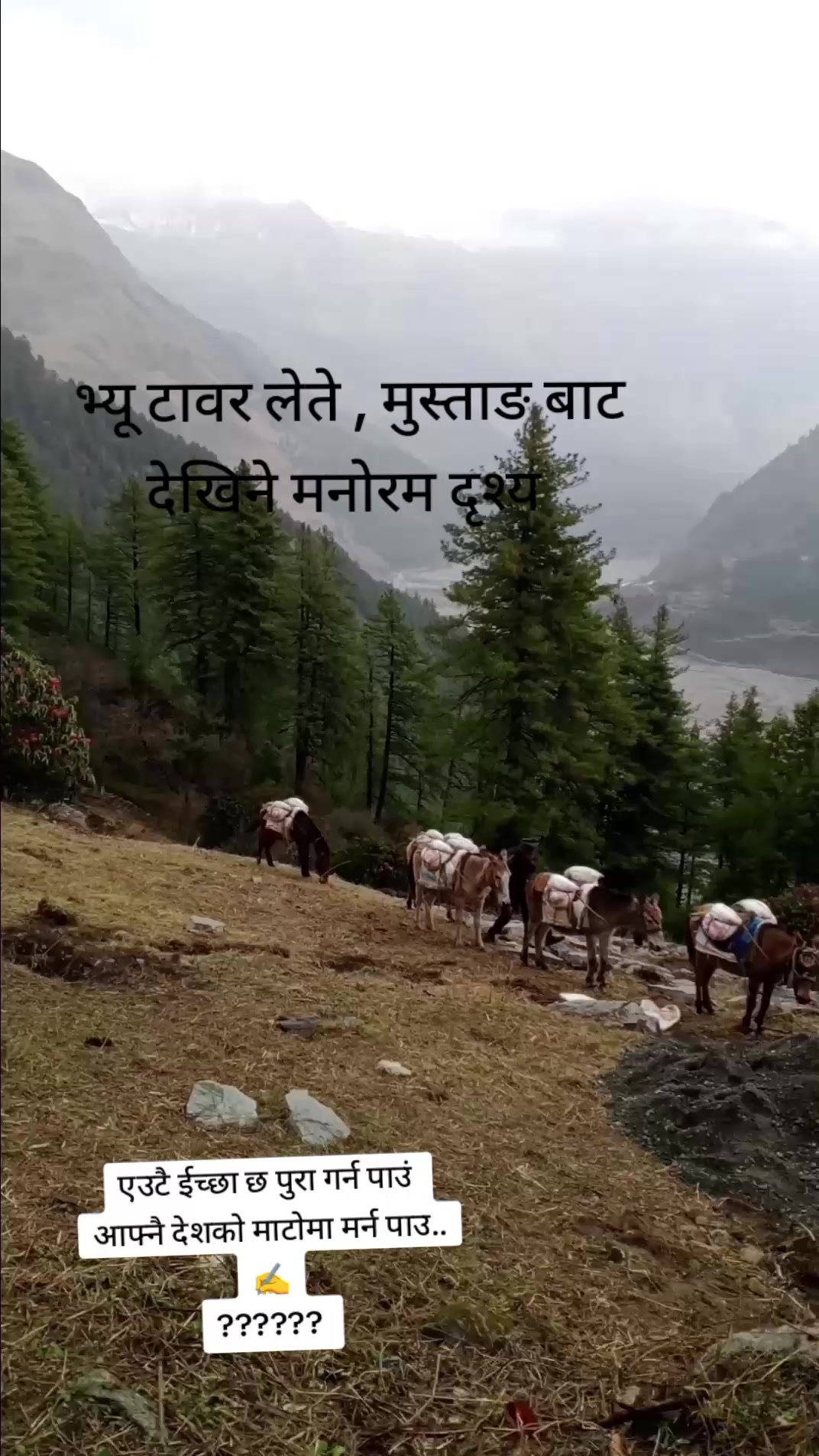 @महेन्द्र शाही