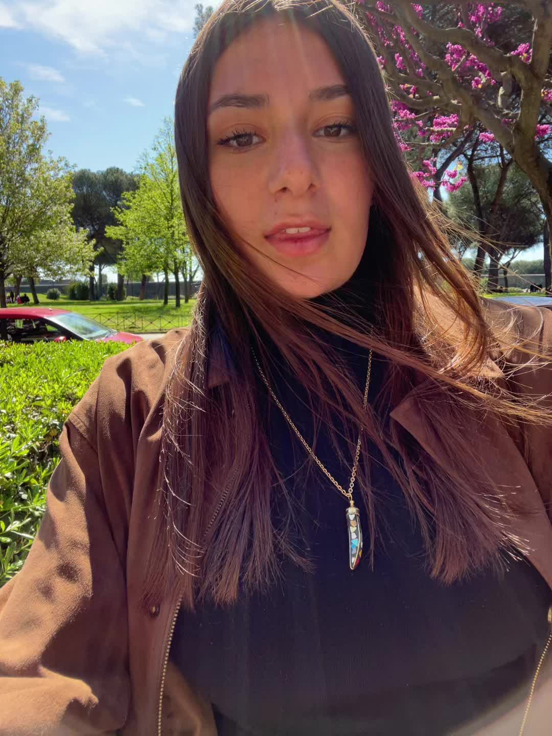 @ludo⭐️