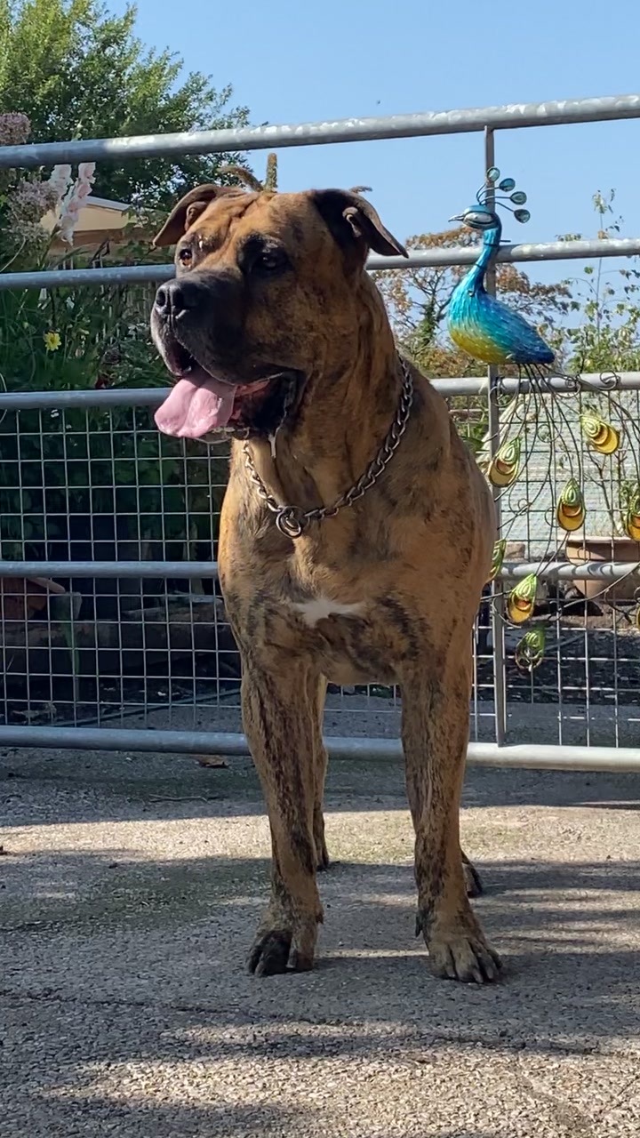 @Mooch 💖🍃 PRESA-CANARIO