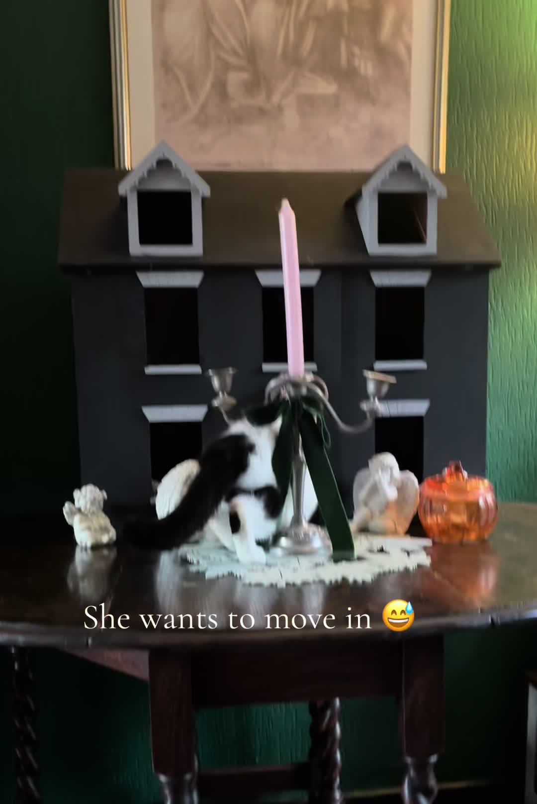 @9 cats and Nicola 🐾🐈🐈⬛🐾