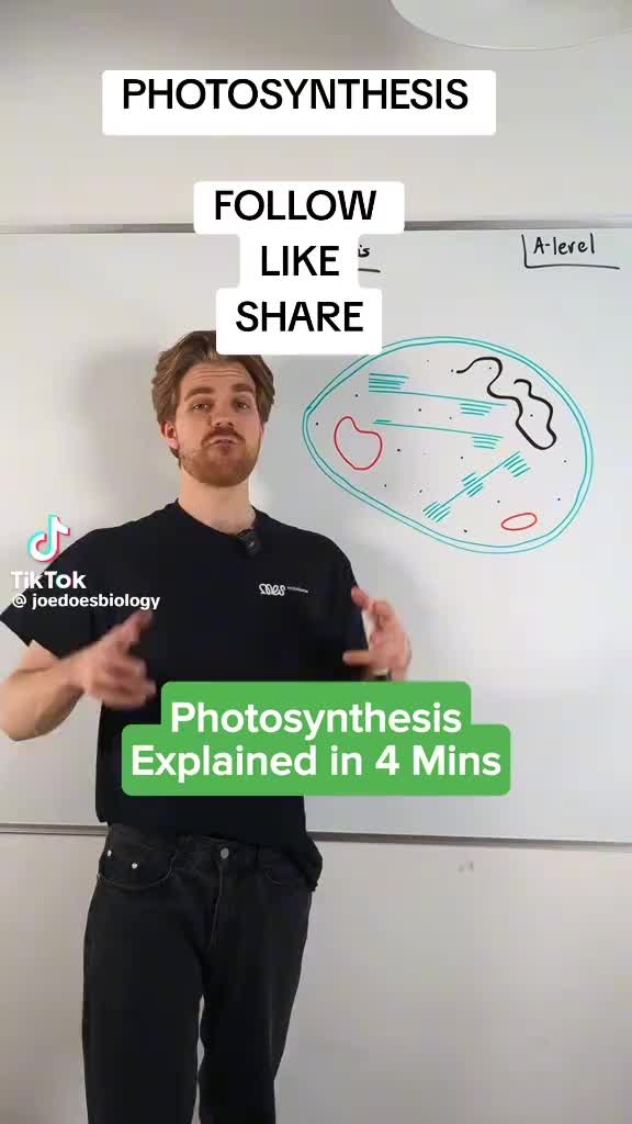 @ryanmarkfans16