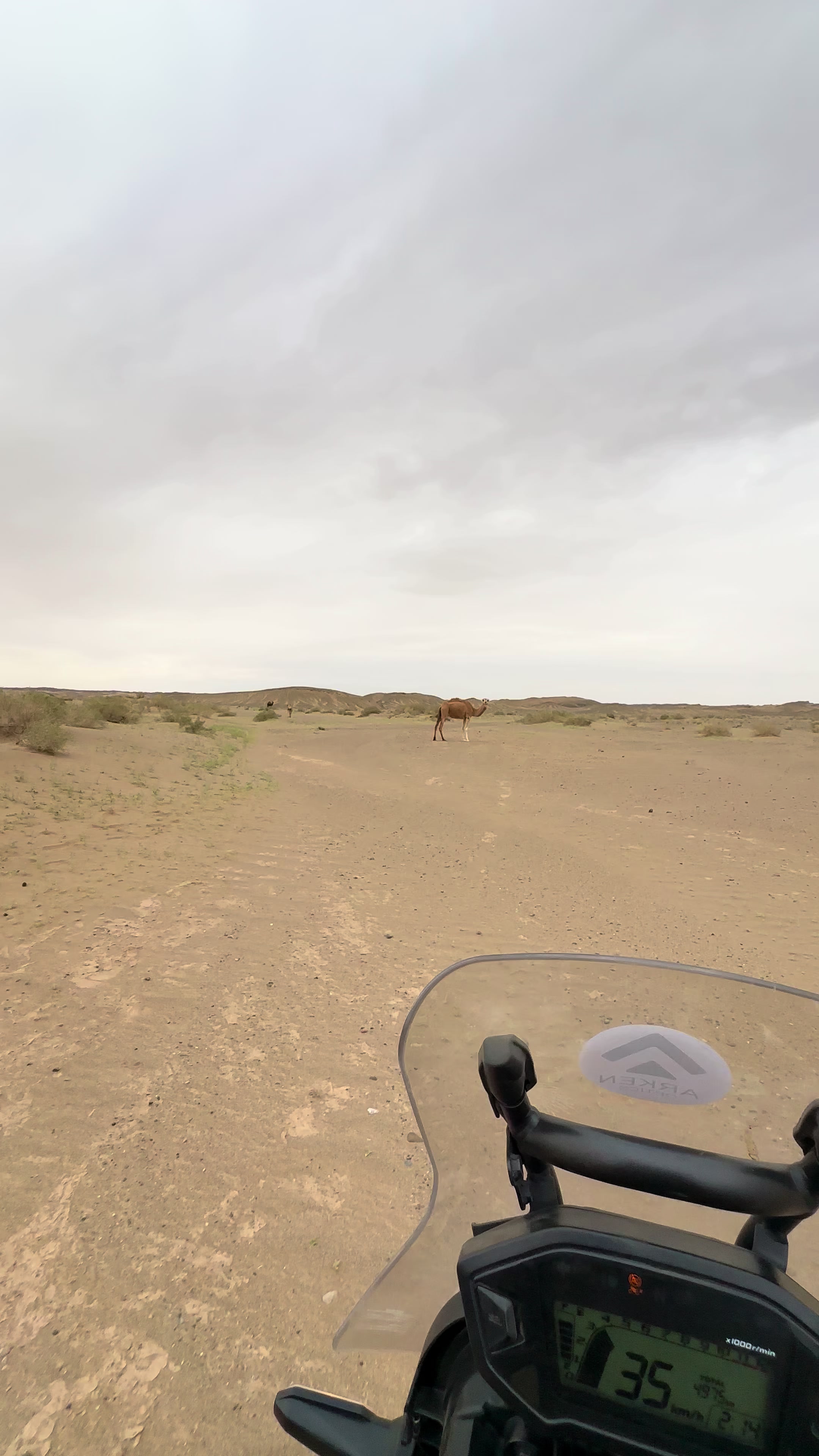 @بلوچستان عشق است 🐪🏜️🪶
