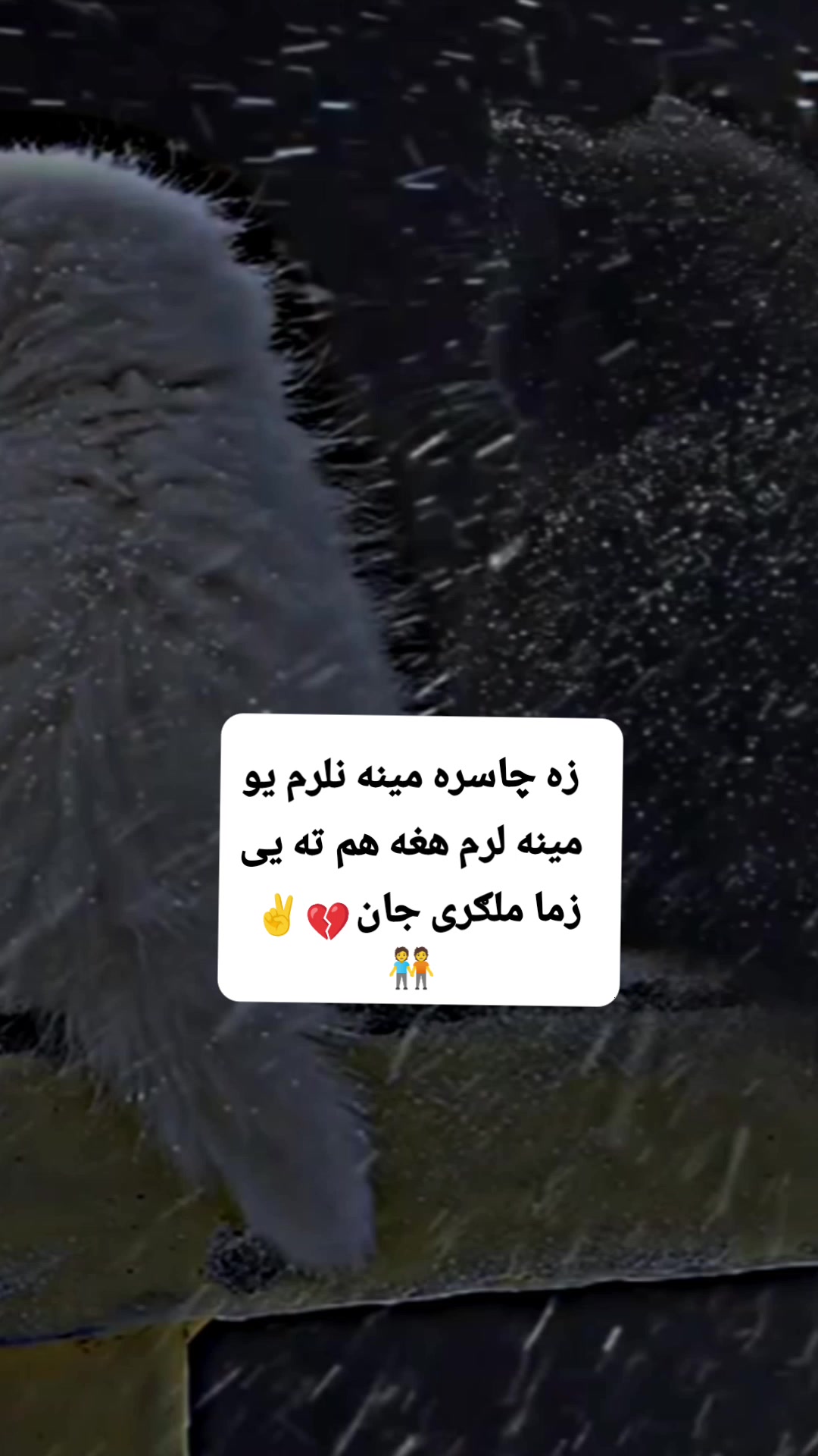 @💔🌿Laghmani