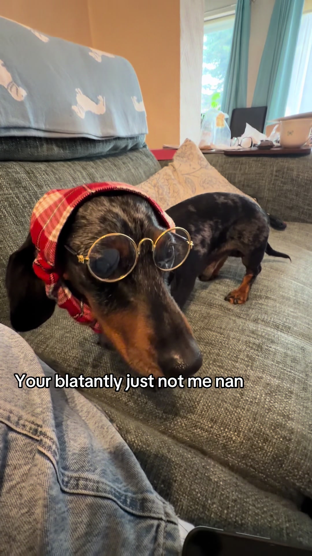 @dibblydobbly_dax