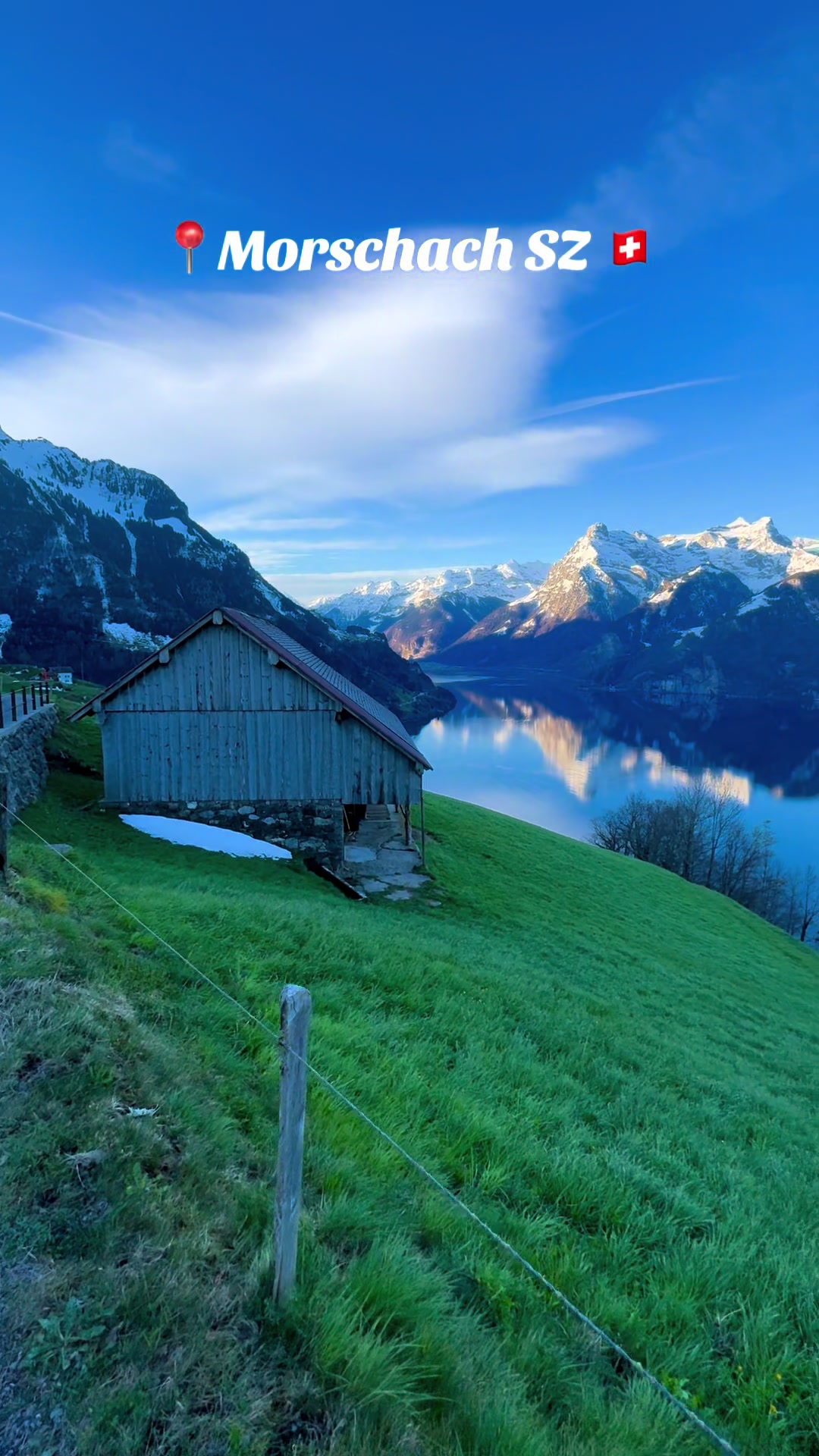 @swiss_alps
