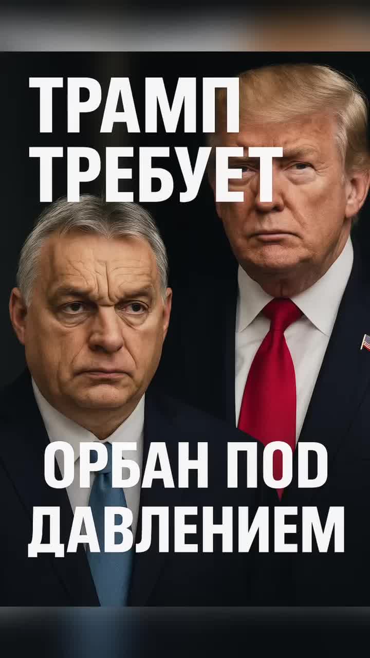@Дикий Движ