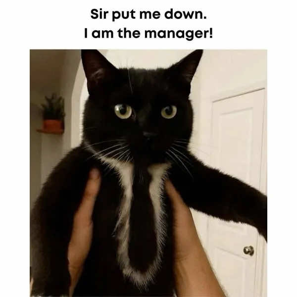 @Noblesse Oblige