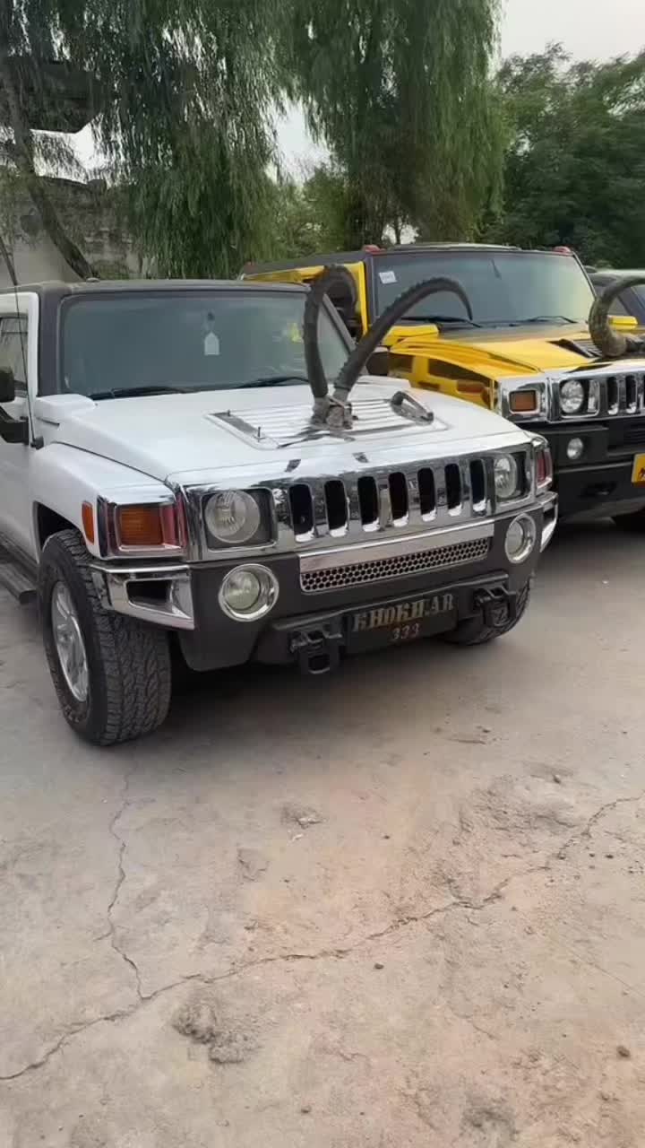 @𝘾𝙍𝙄𝙈𝙄𝙉𝘼𝙇☠︎︎𝙀𝘿𝙄𝙏𝙓