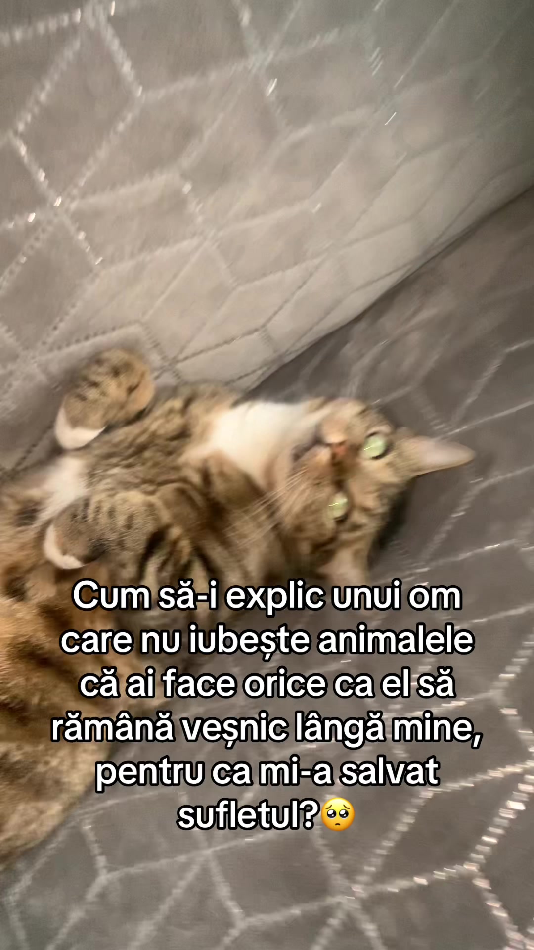 @Rusu Roxana