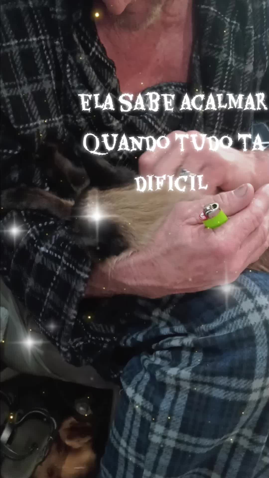 @Ivanir Silverio