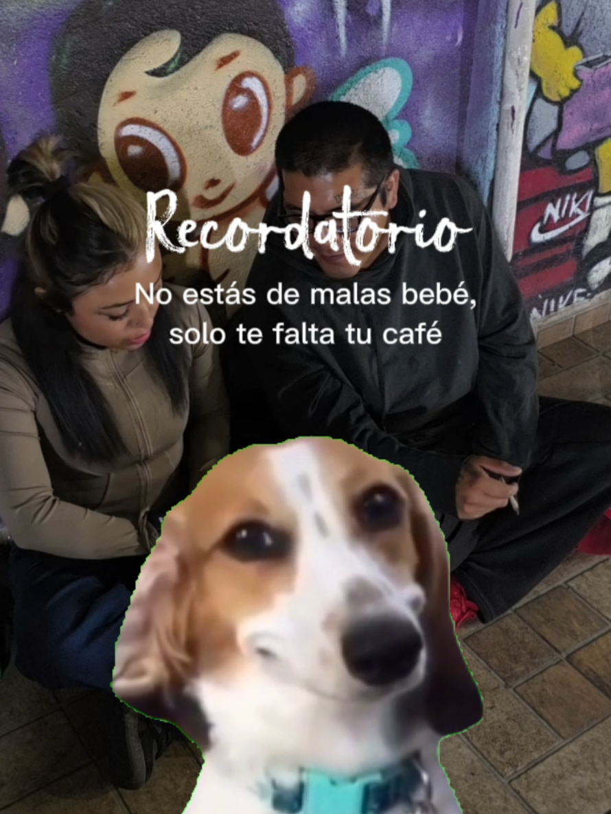 @luzdeazuul