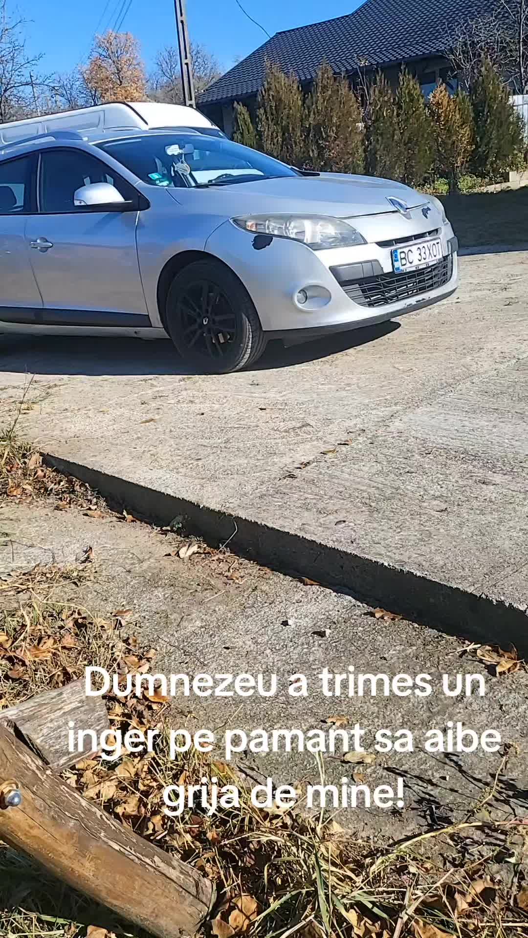 @Mihaela Dumitrache