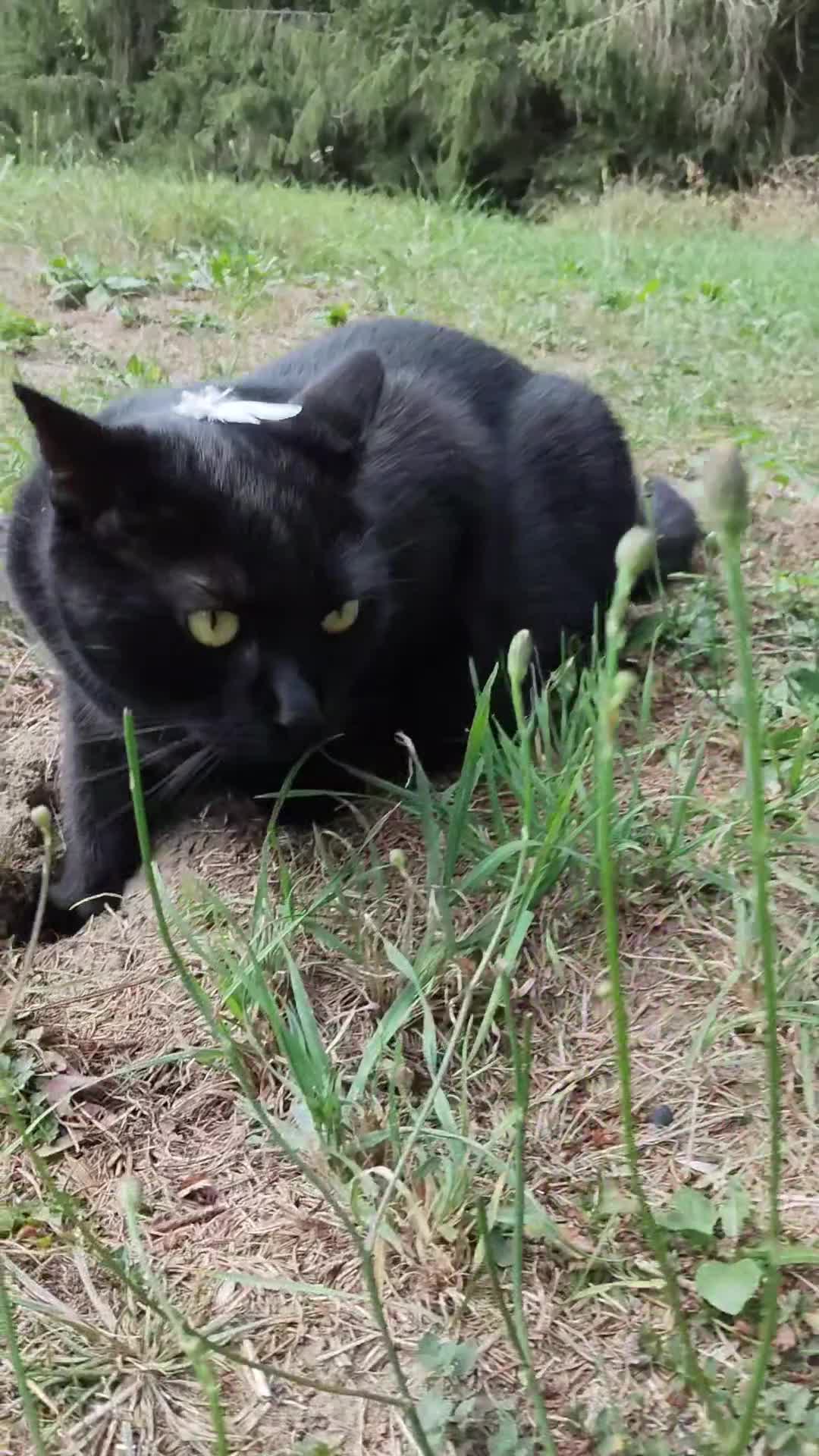 @✌️😻𝕱𝖚𝖓𝖟𝖓