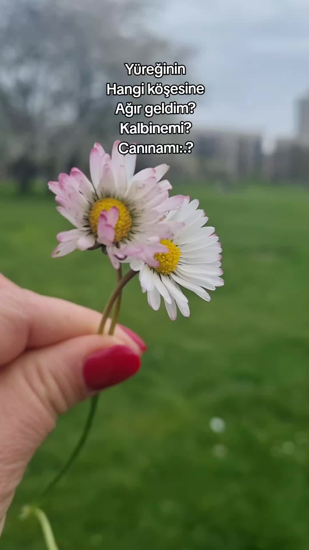 @Ay__nature