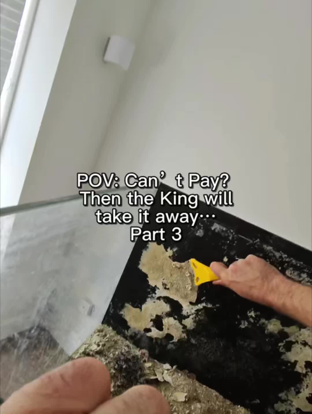@The King of Coral