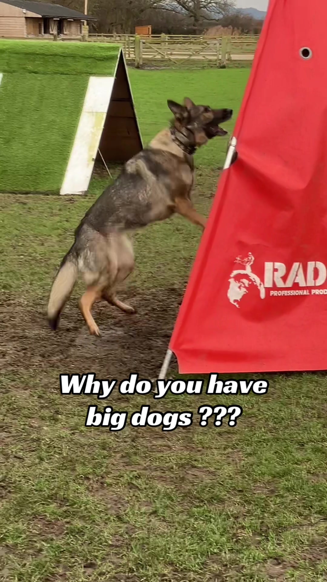 @Crazy GSD Lady