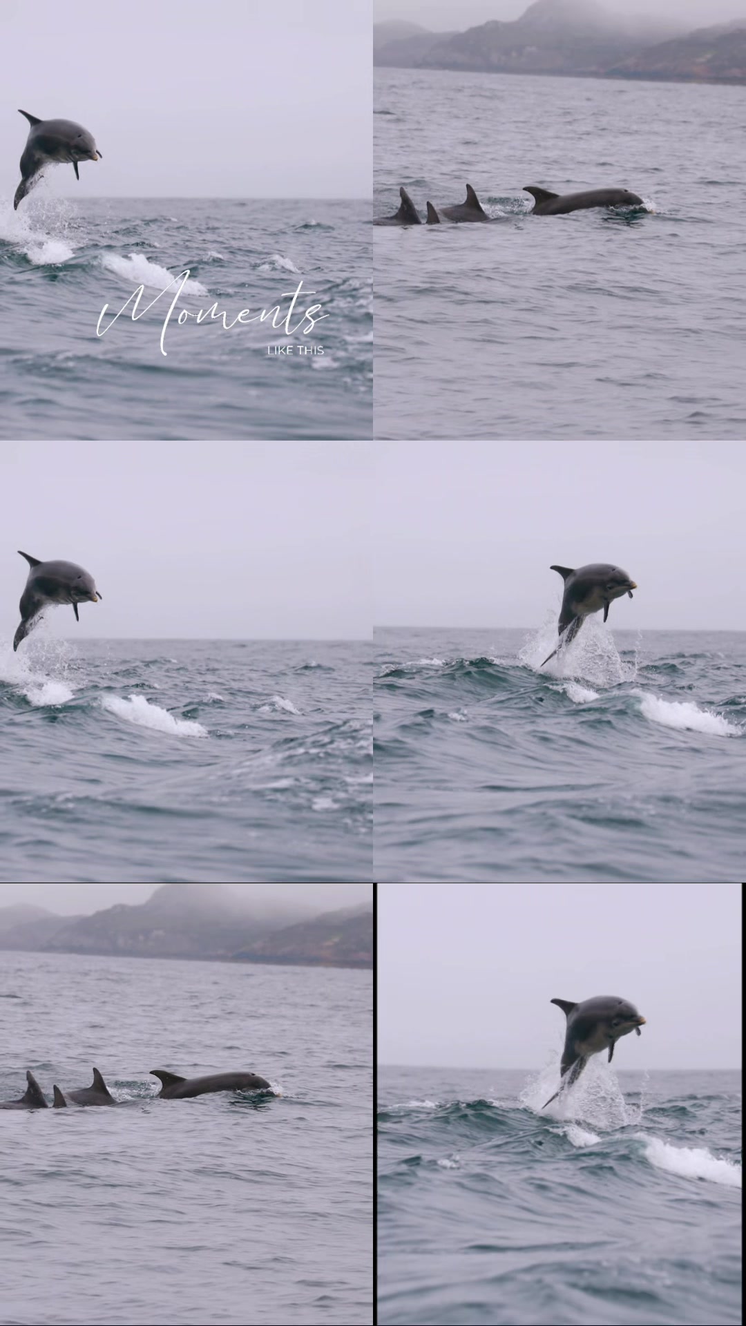 @Staffa Trips