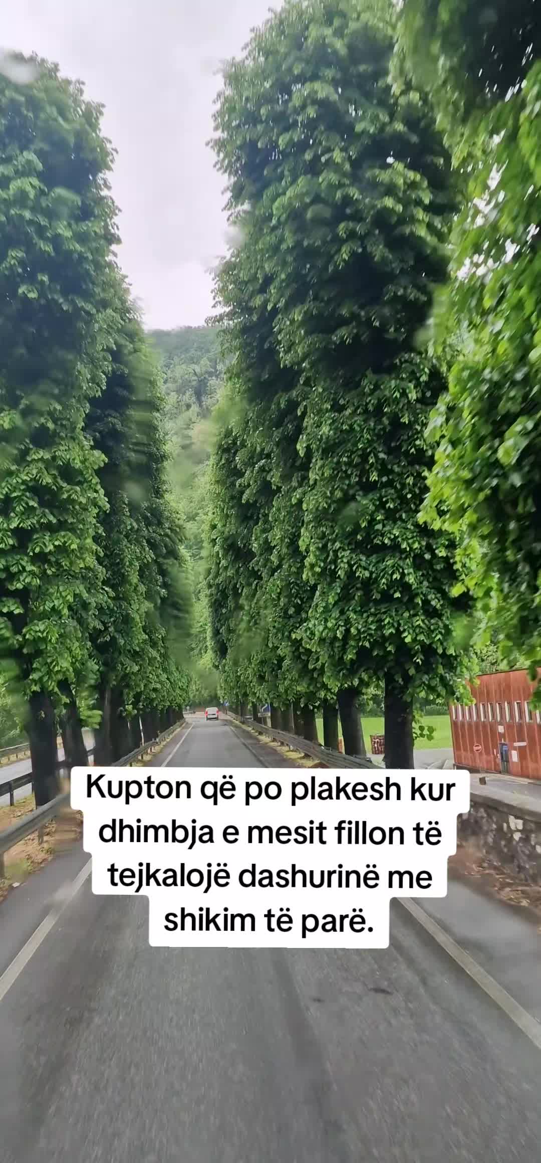 @LABI🇦🇱🇦🇺🇧🇪🇬🇧🇬🇳🇮🇹