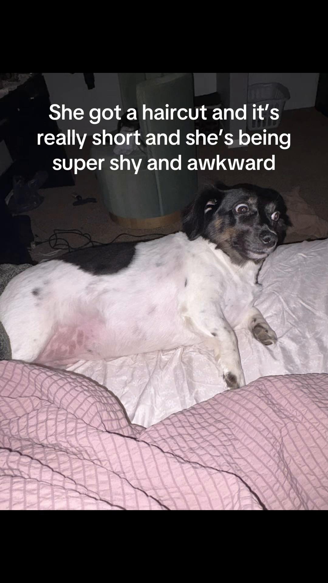 @Mimi