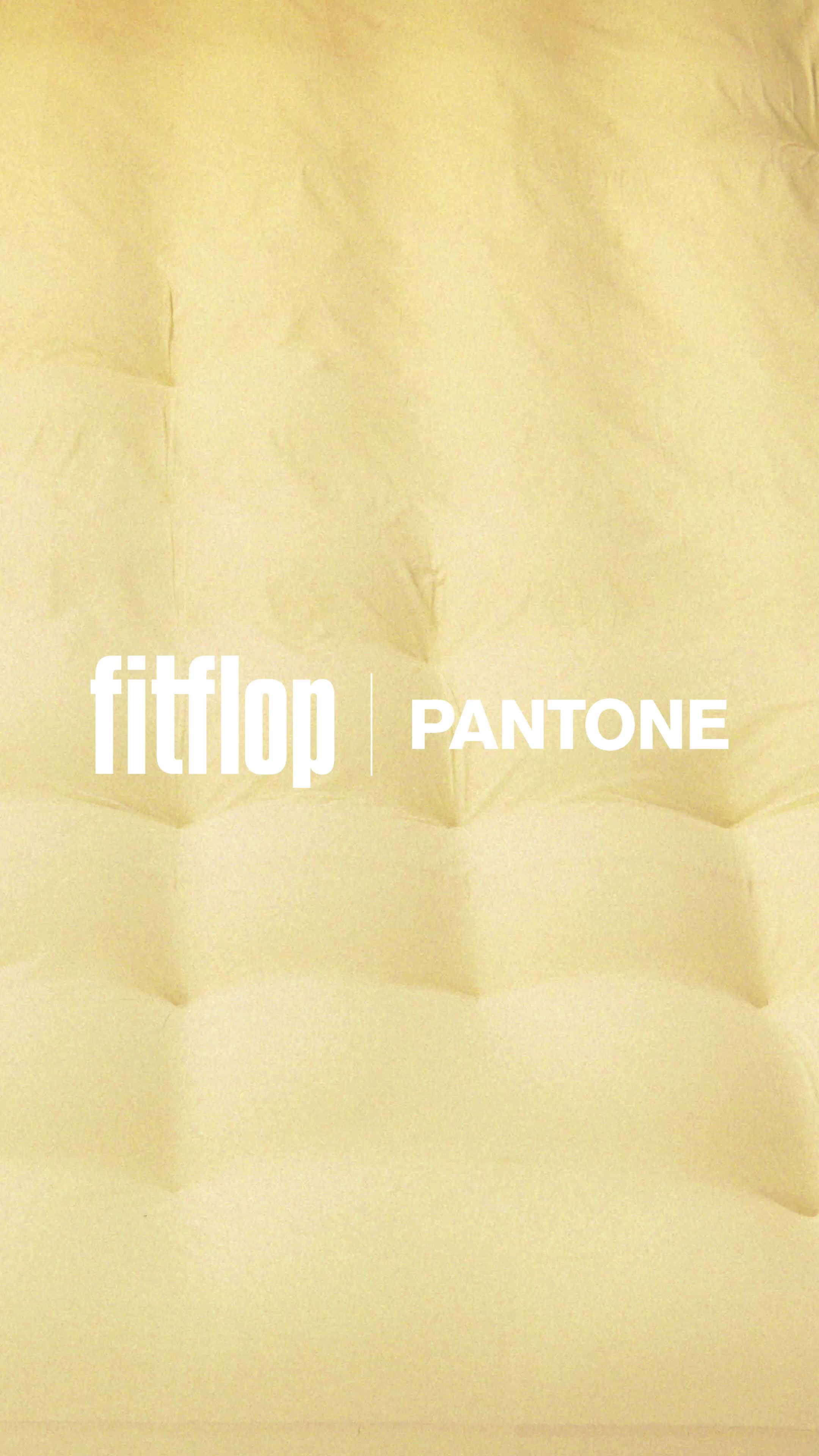 @FitFlop