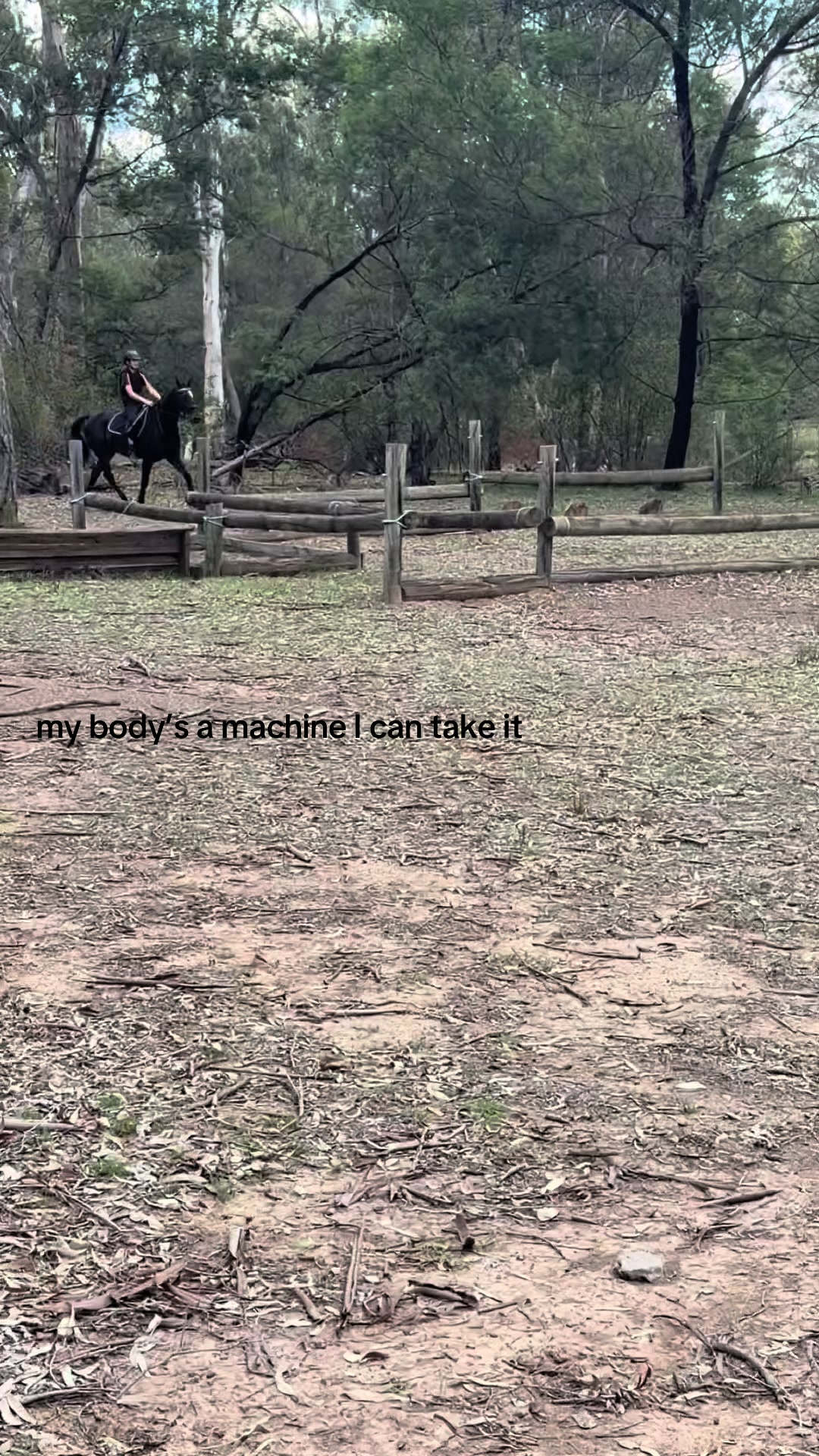 @t.equestrianxx