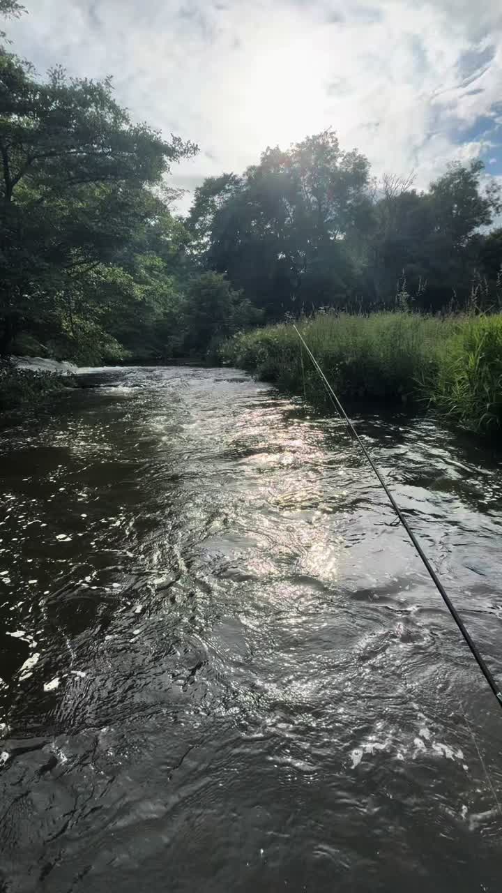 @Alba Trout 🏴