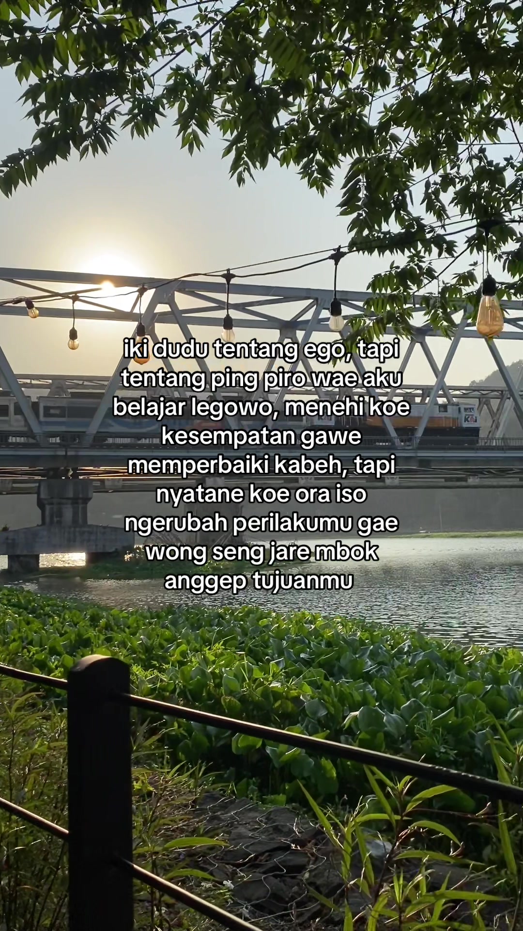 @Momoo